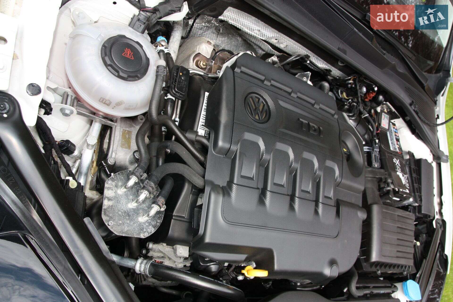 Volkswagen Golf 2017 VIN WVWZZZAUZJP559364 фото оголошення 16 з 29