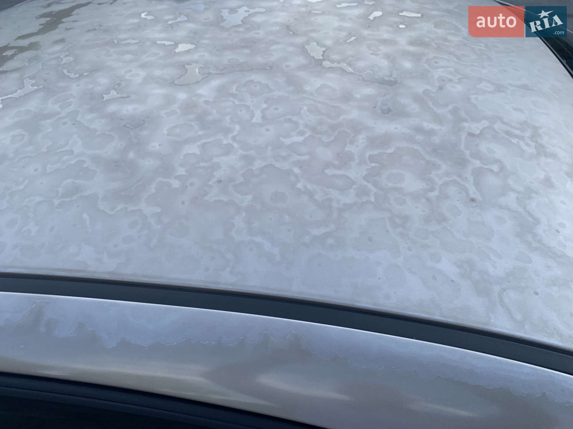 Chevrolet Lacetti 2005 VIN Y6DNA193E6K244330 фото оголошення 7 з 29