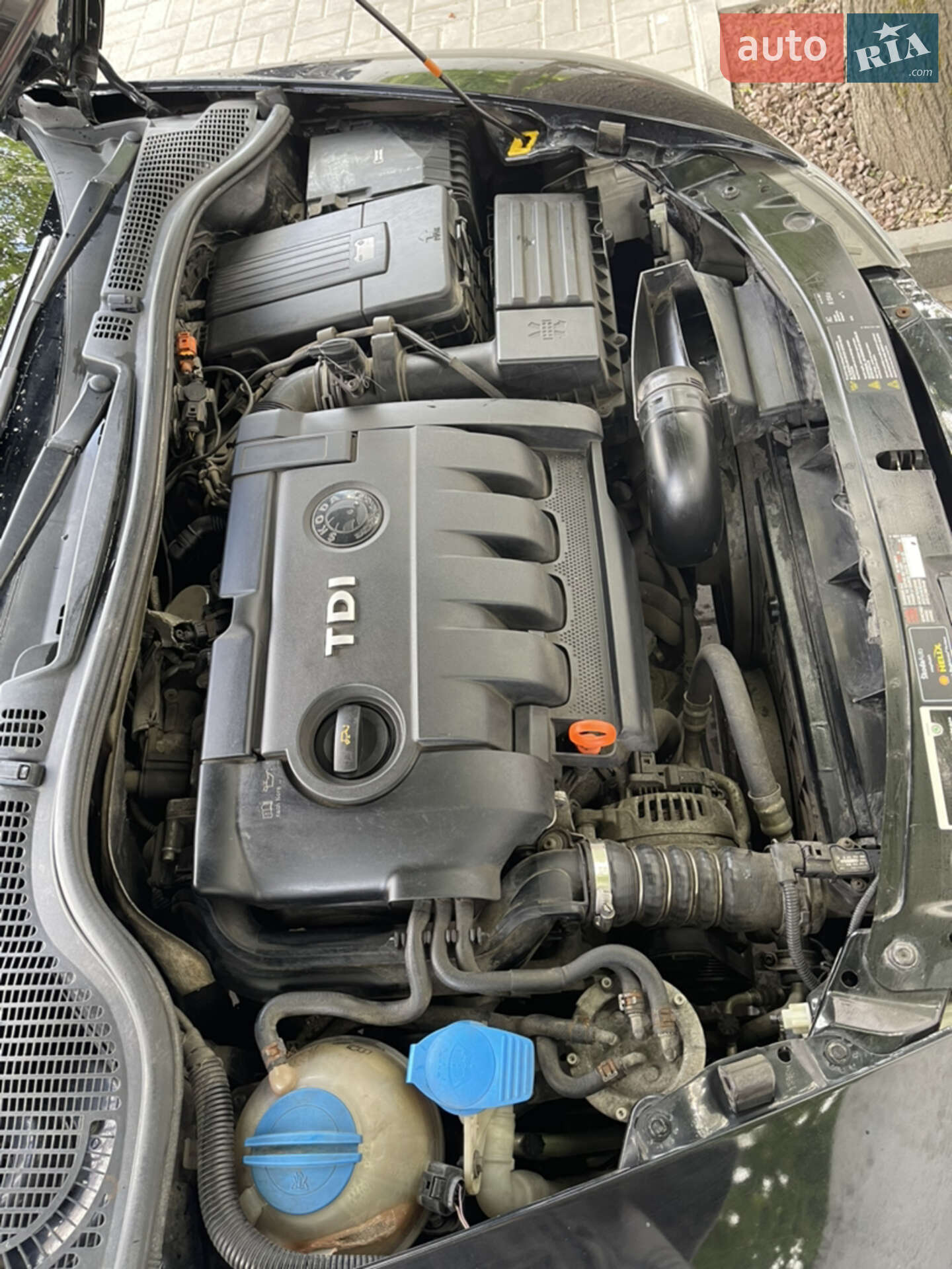 Skoda Octavia 2008 VIN TMBKS61Z682127287 фото оголошення 11 з 11