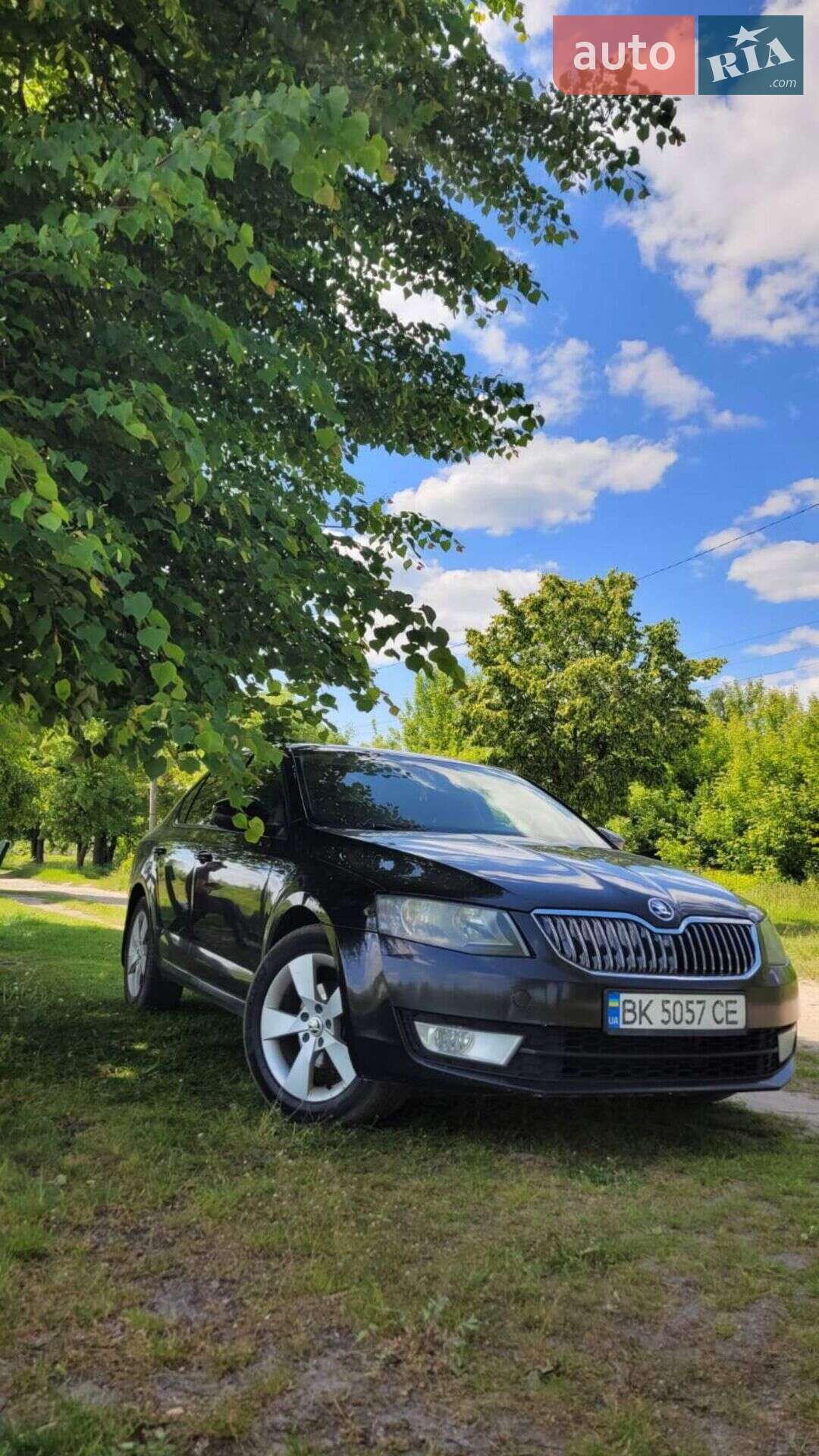 Skoda Octavia 2016 VIN Y6UAC2NE8HB006429 фото оголошення 9 з 9