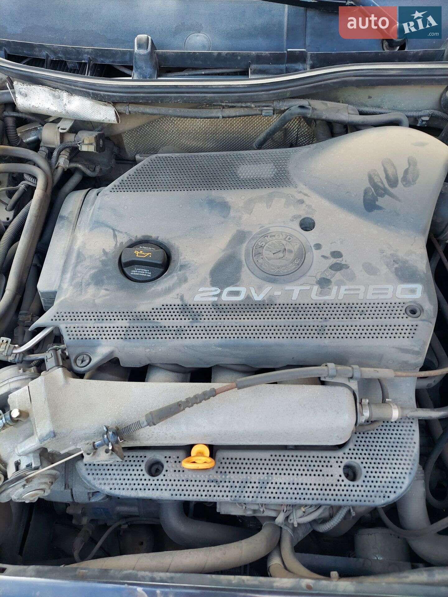 Skoda Octavia 2008 VIN TMBDL41U99B011551 фото оголошення 12 з 12