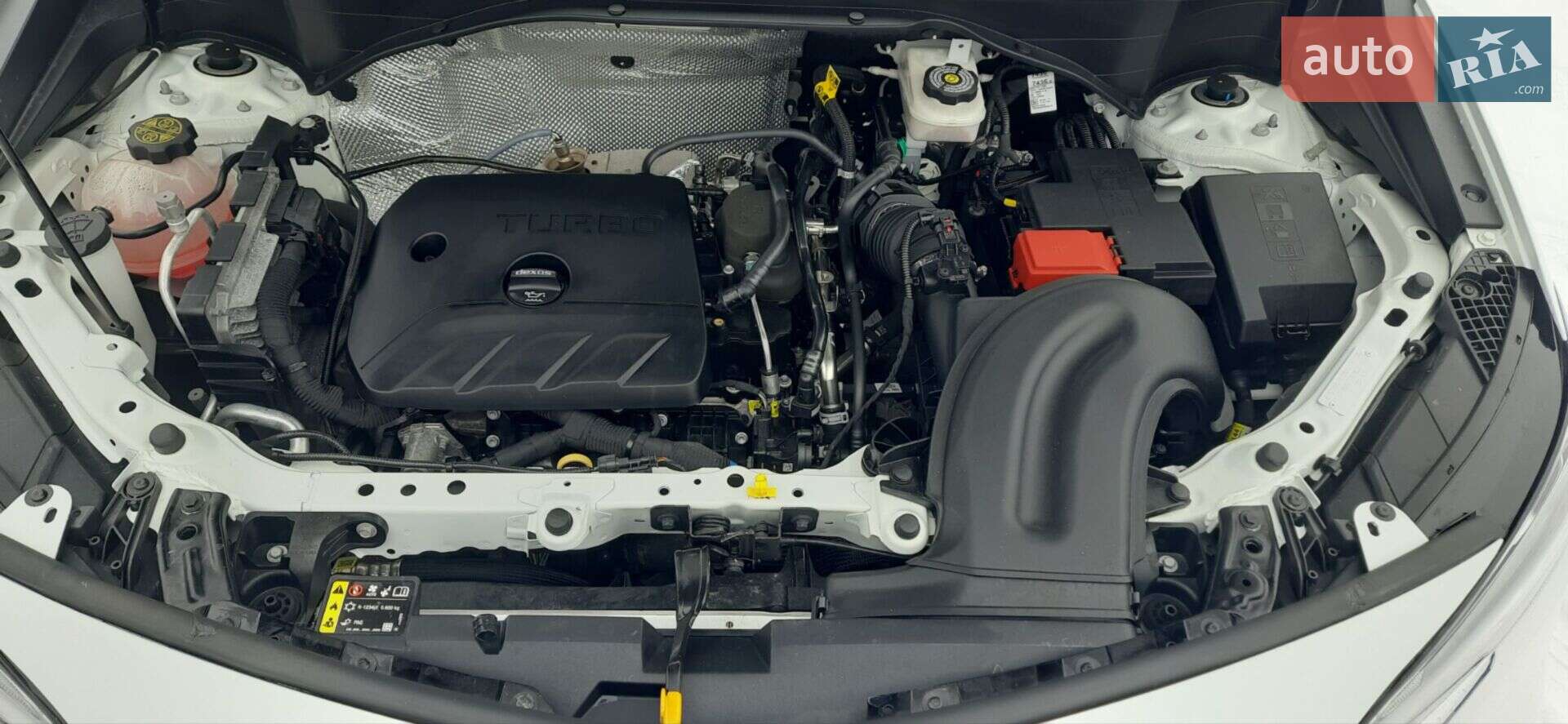 Buick Encore GX 2021 VIN KL4MMESL0MB182376 фото оголошення 13 з 13
