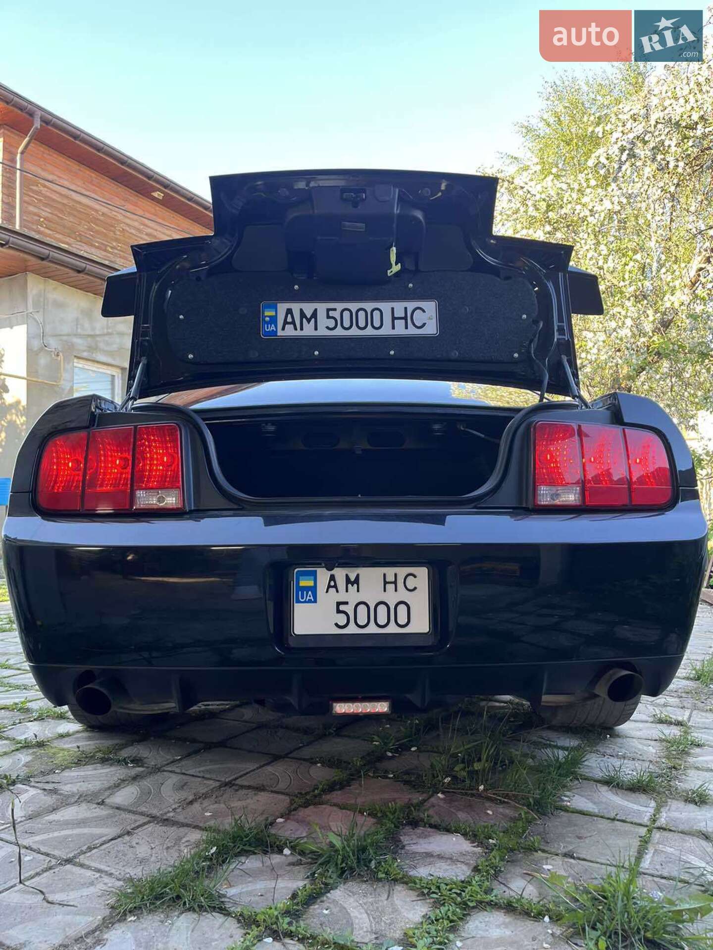 Ford Mustang 2008 VIN 1ZVHT80N485196198 фото оголошення 13 з 16