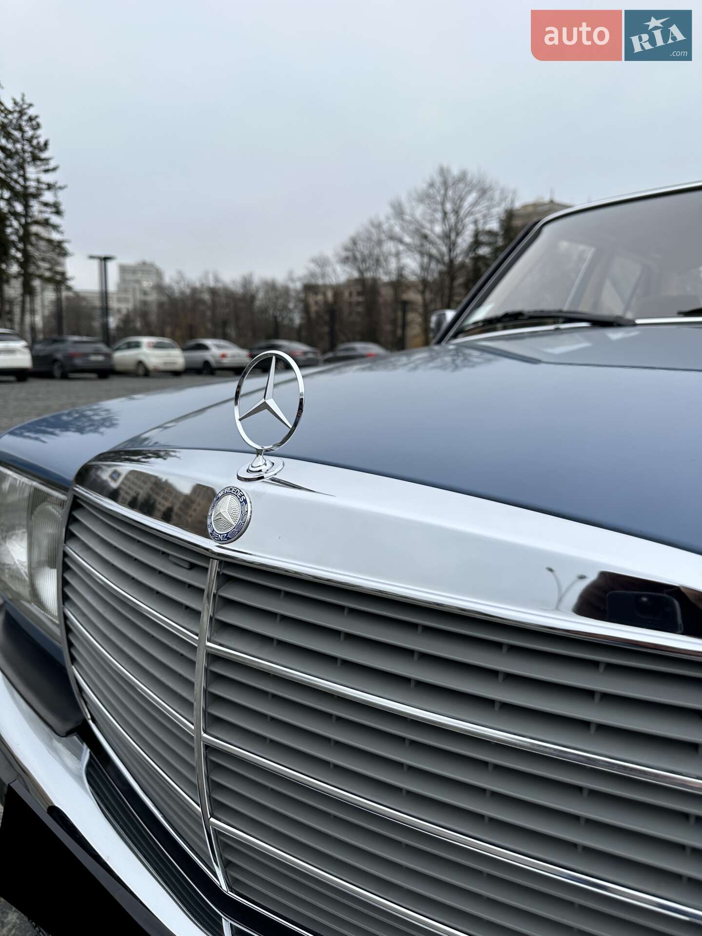 Mercedes-Benz E-Class 1984 VIN WDB1242231A101027 фото оголошення 70 з 81