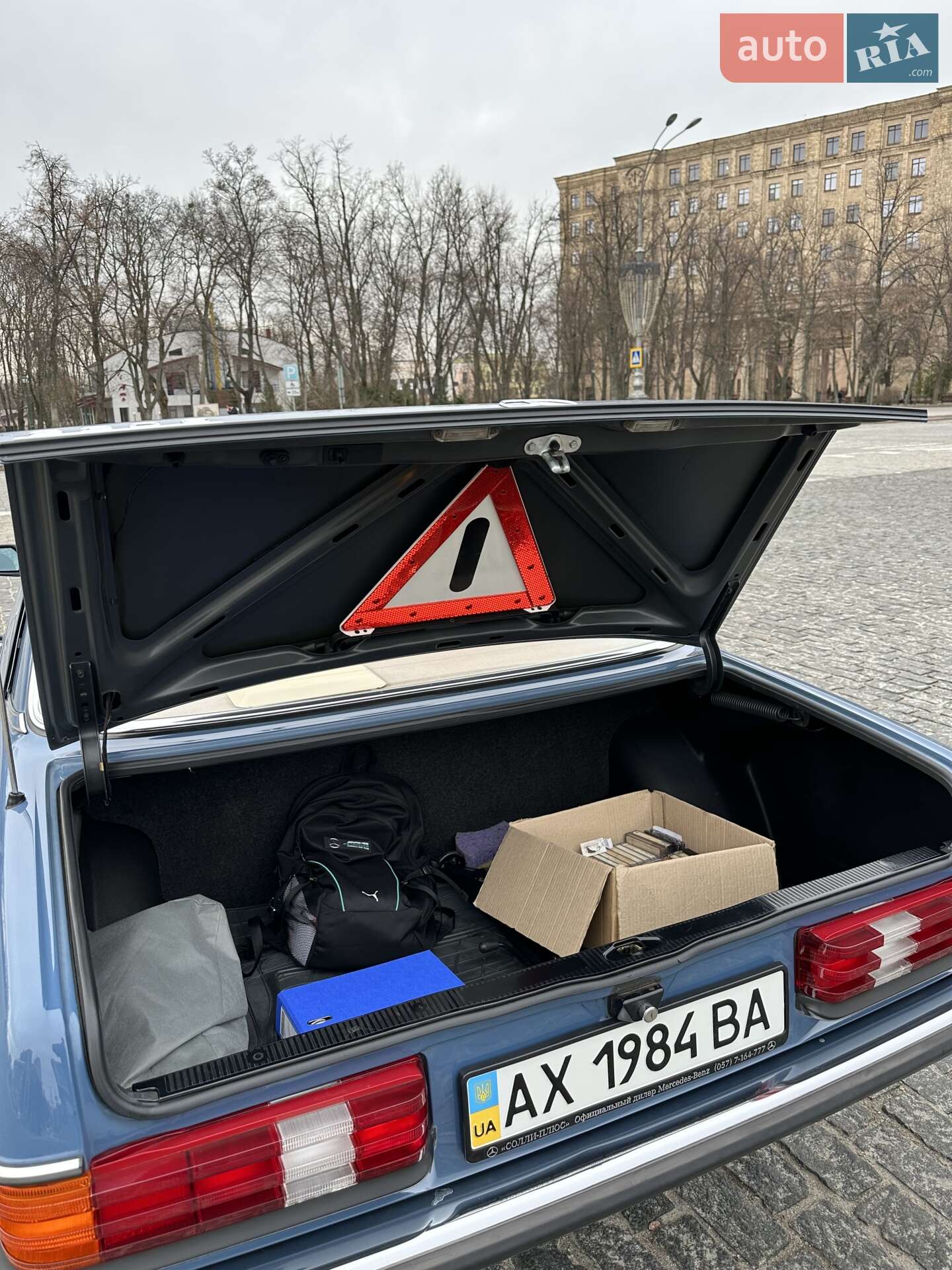 Mercedes-Benz E-Class 1984 VIN WDB1242231A101027 фото оголошення 81 з 81