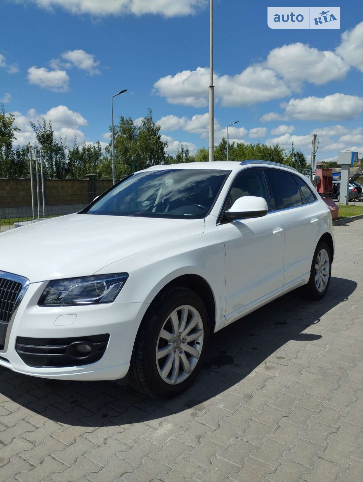 Audi Q5 2009 VIN WAUZZZ8R99A043504 фото оголошення 5 з 21