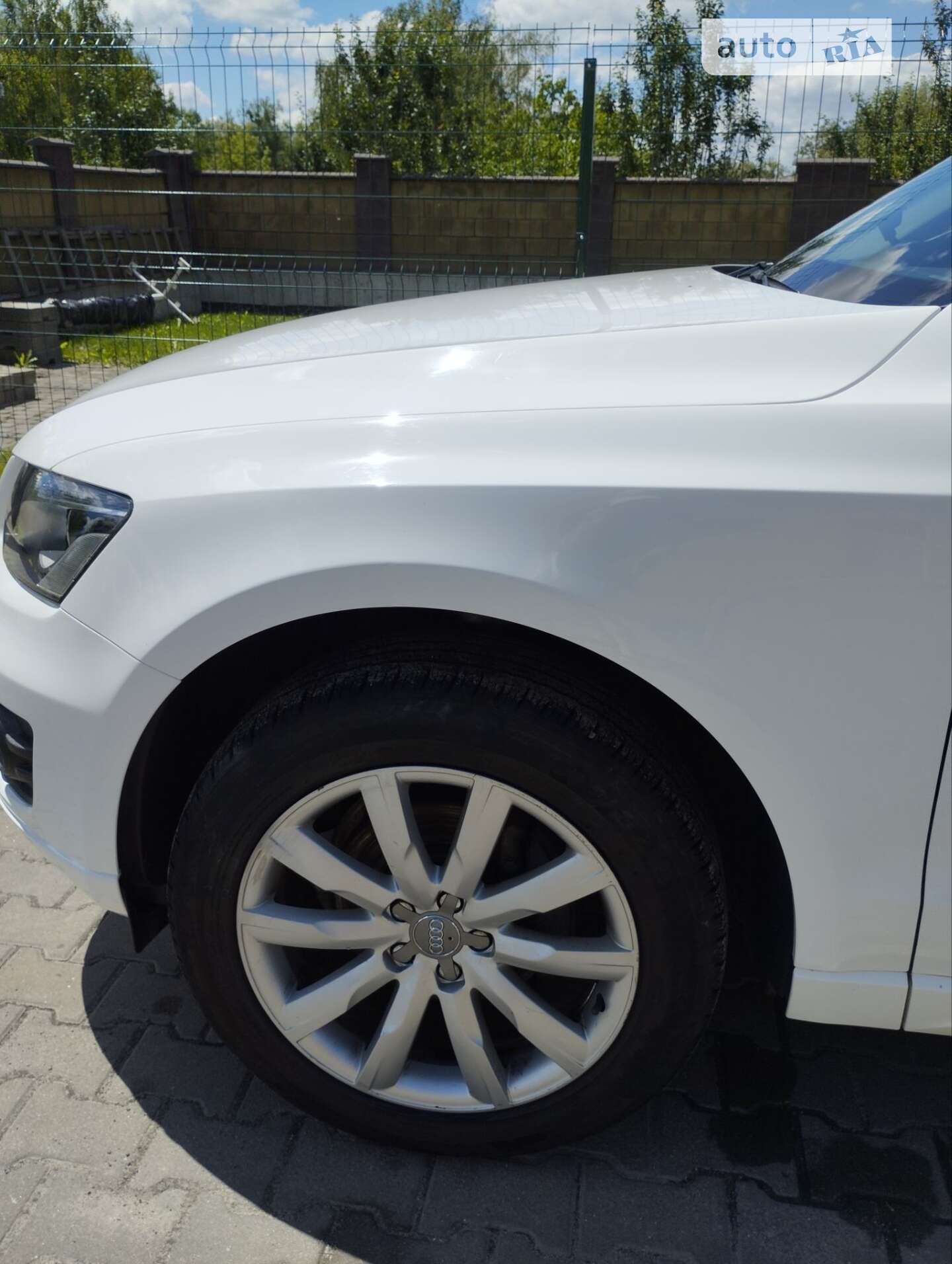 Audi Q5 2009 VIN WAUZZZ8R99A043504 фото оголошення 13 з 21