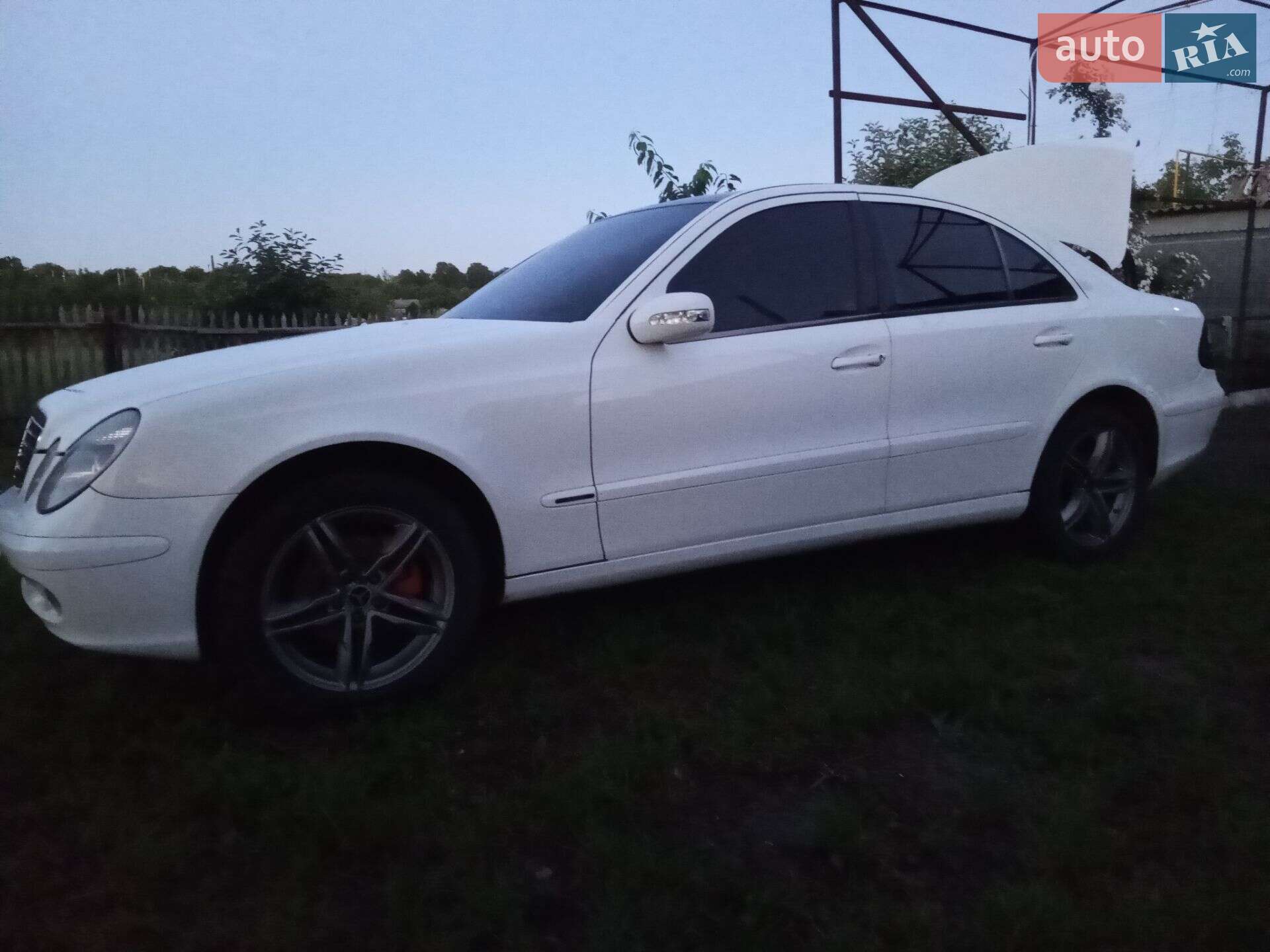 Mercedes-Benz E-Class 2003 VIN WDB12312010338348 фото оголошення 15 з 17