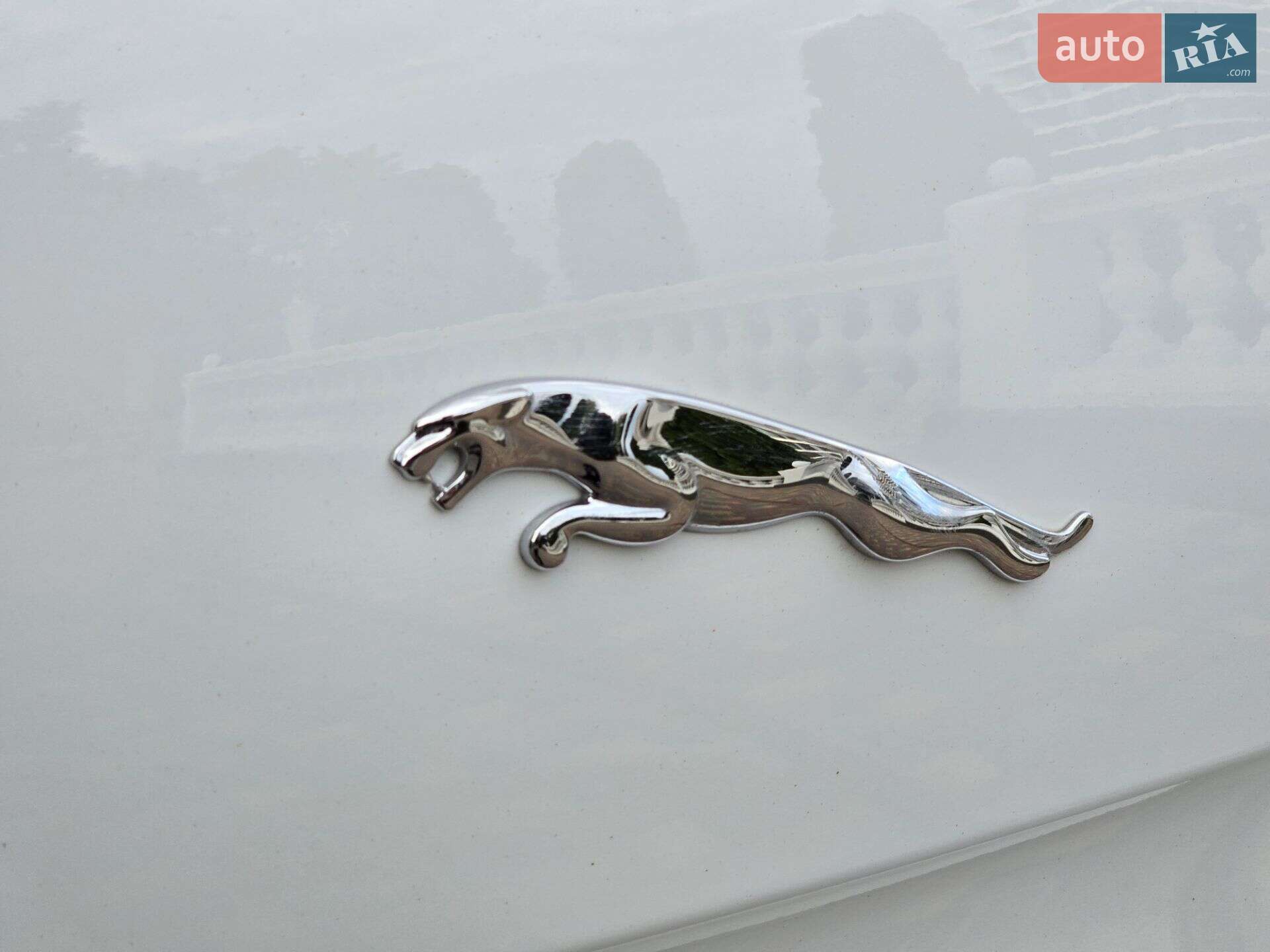 Jaguar XJ 2011 VIN SAJAA16P4CLV23098 фото оголошення 32 з 36