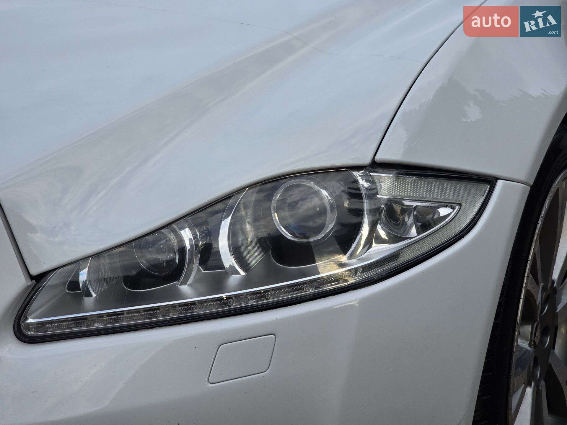 Jaguar XJ 2011 VIN SAJAA16P4CLV23098 фото оголошення 33 з 36