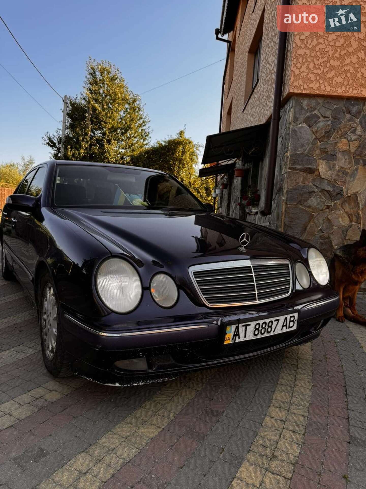 Mercedes-Benz E-Class 2000 VIN WDB1241281B376291 фото оголошення 9 з 25