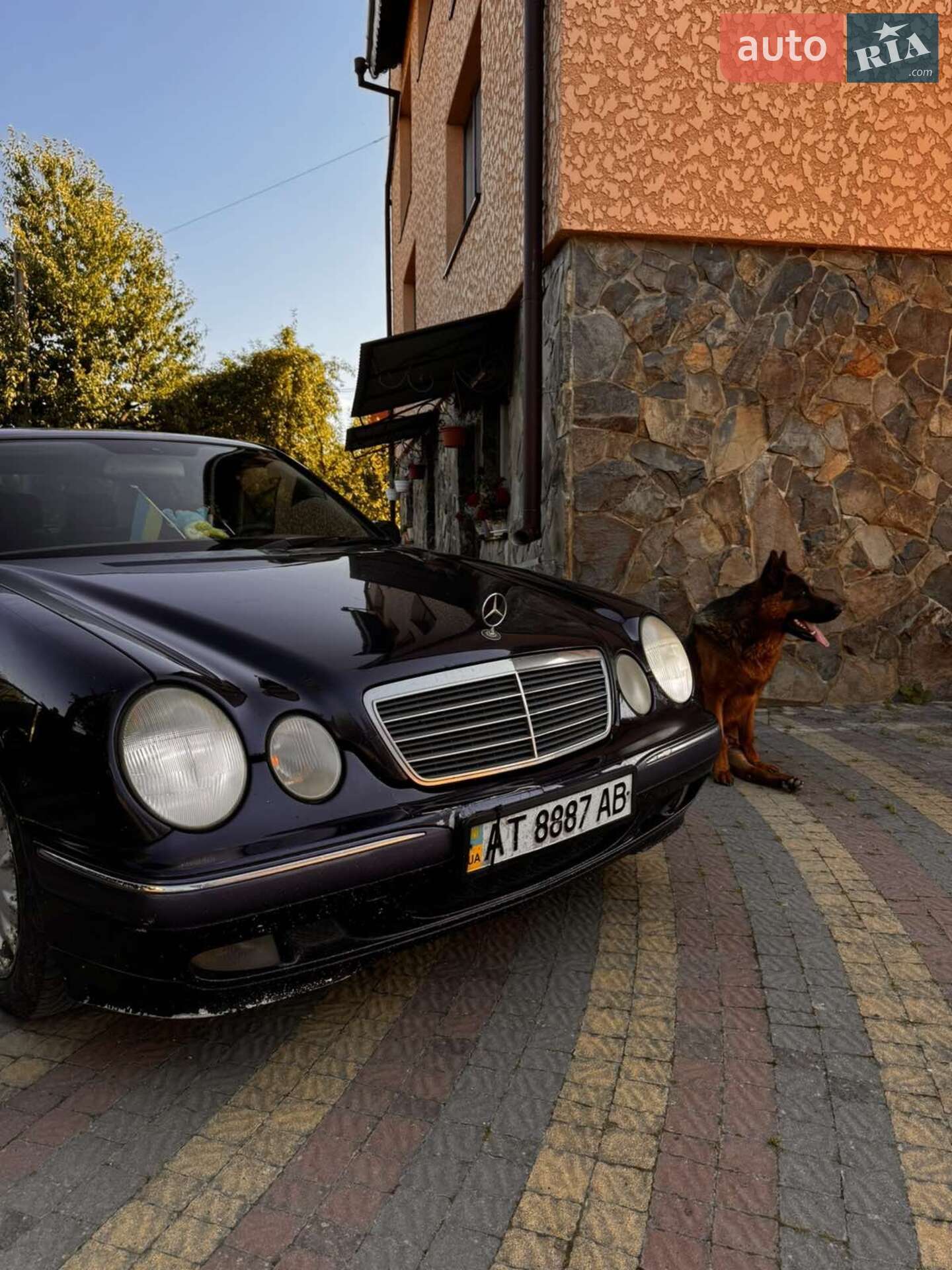 Mercedes-Benz E-Class 2000 VIN WDB1241281B376291 фото оголошення 13 з 25
