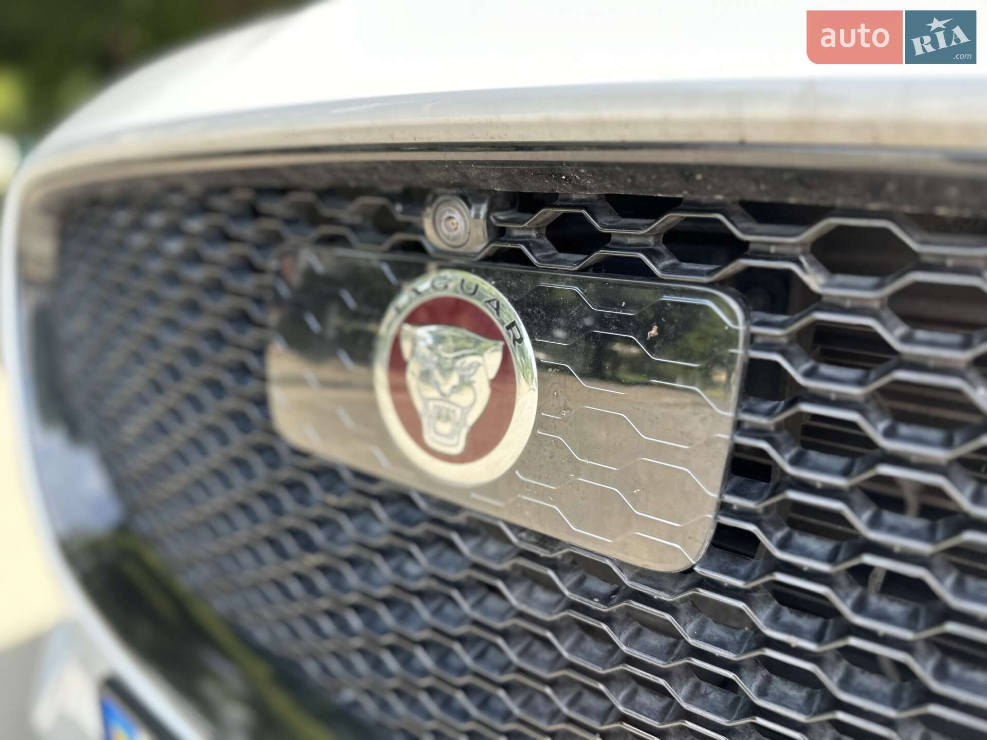 Jaguar F-Pace 2016 VIN SADCL2BV4HA059233 фото оголошення 41 з 58