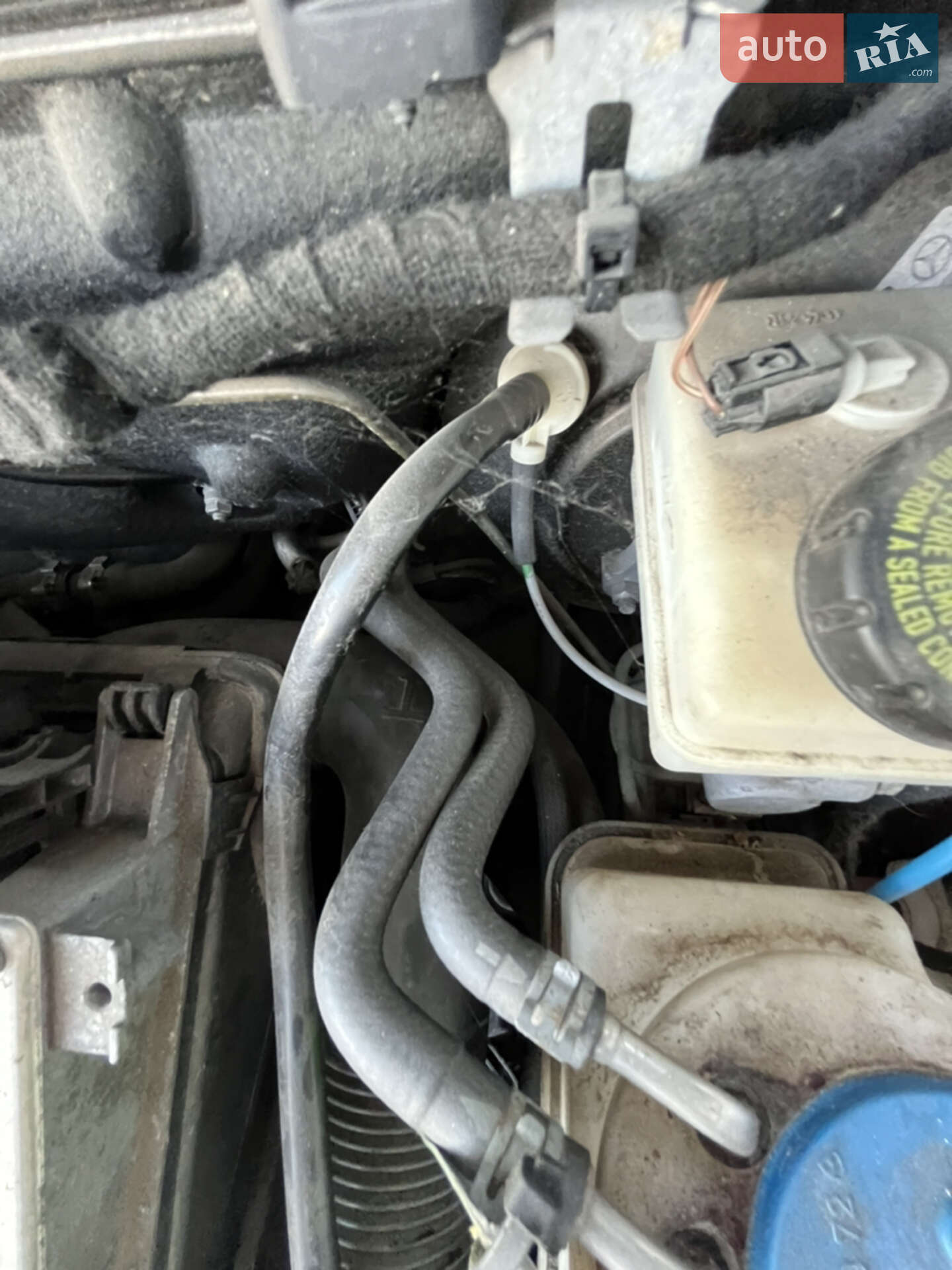 Mercedes-Benz B-Class 2005 VIN WDD2452311J054153 фото оголошення 28 з 44