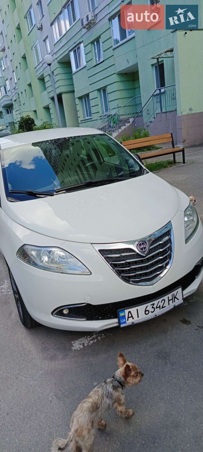 Lancia Ypsilon 2013 VIN ZLA31200005094641 фото оголошення 2 з 30