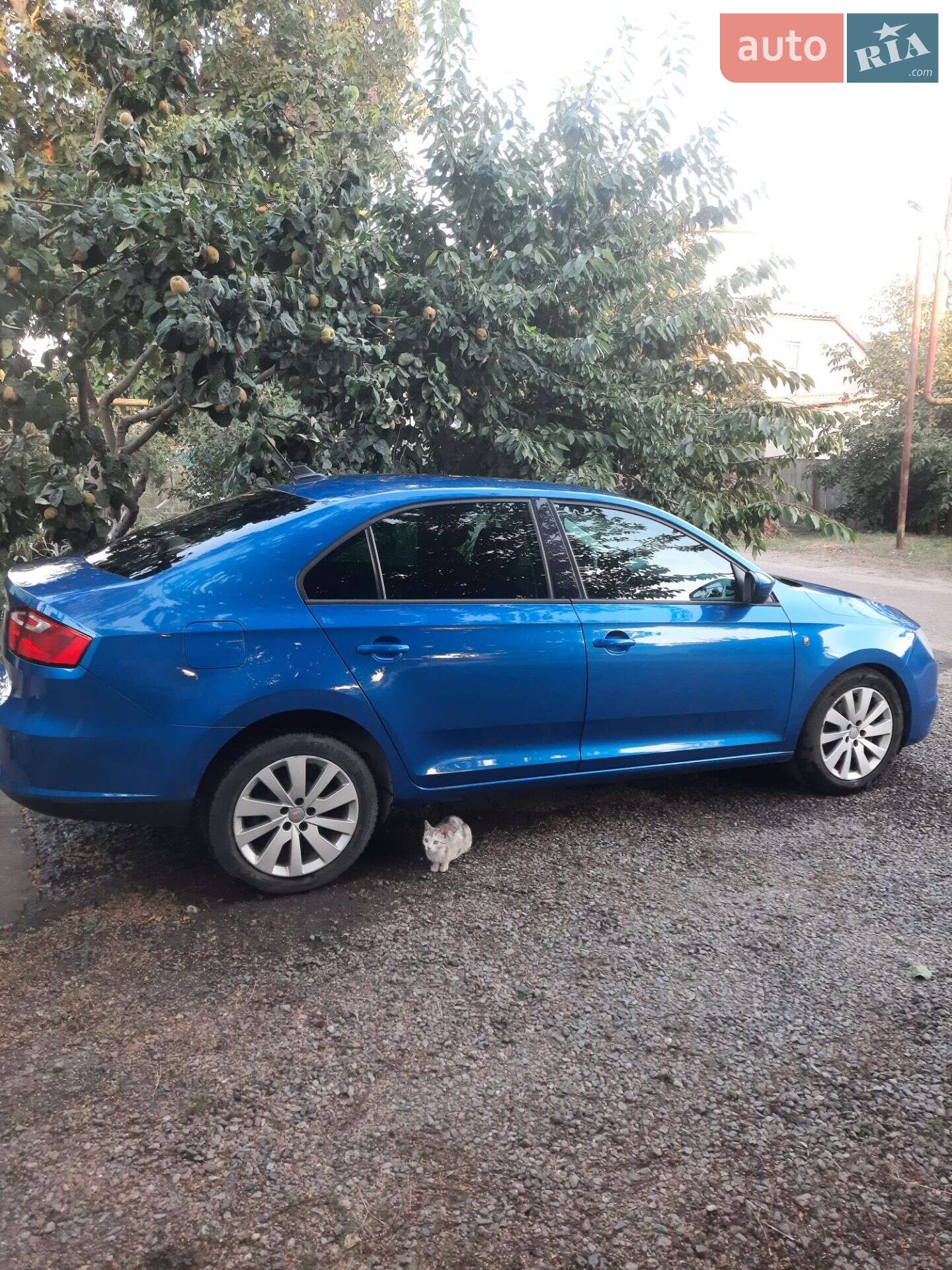 SEAT Toledo 2012 VIN VSSZZZNHZD1008186 фото оголошення 5 з 8