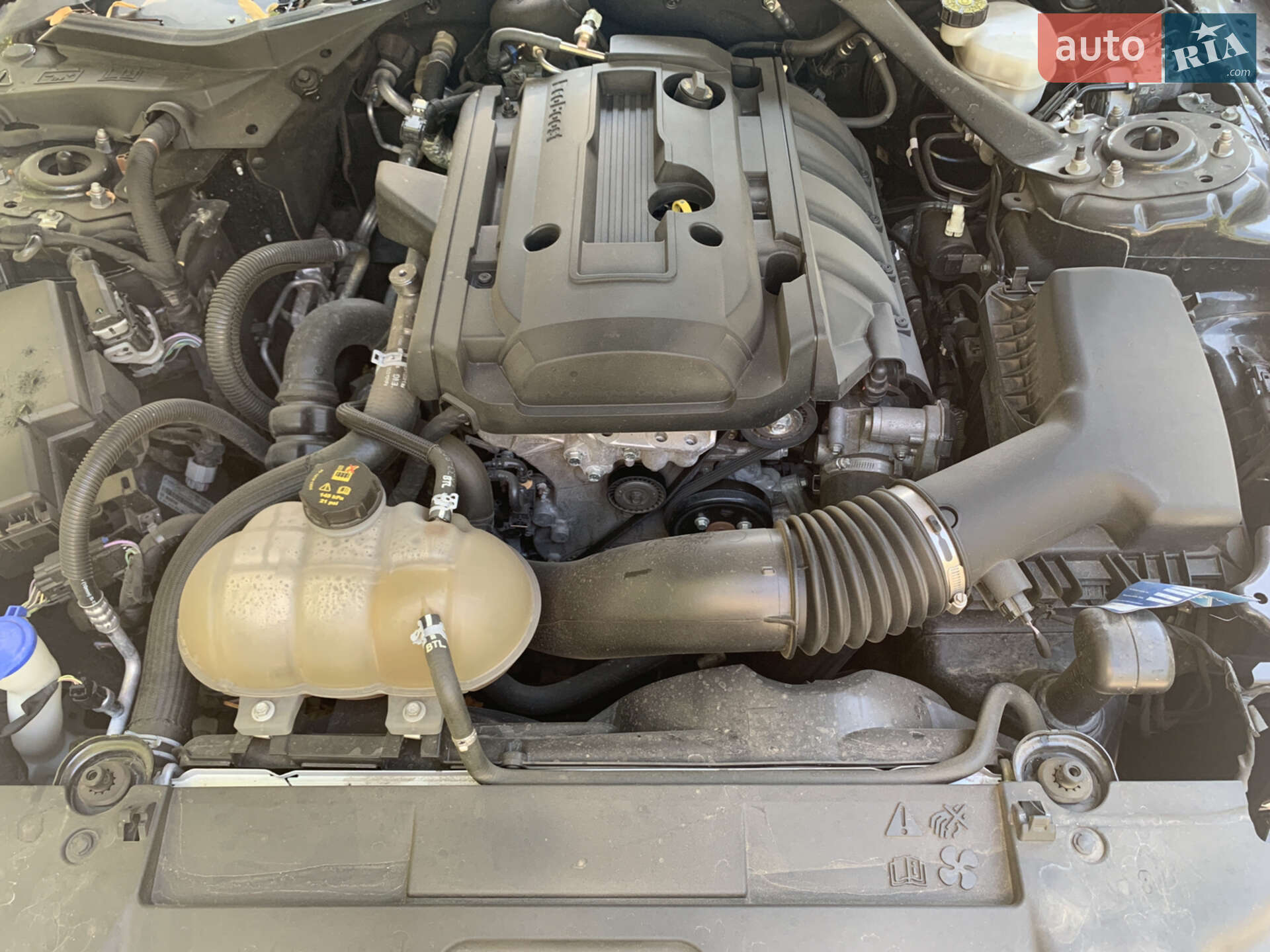 Ford Mustang 2019 VIN 1FATP8UH2L5125960 фото оголошення 14 з 14