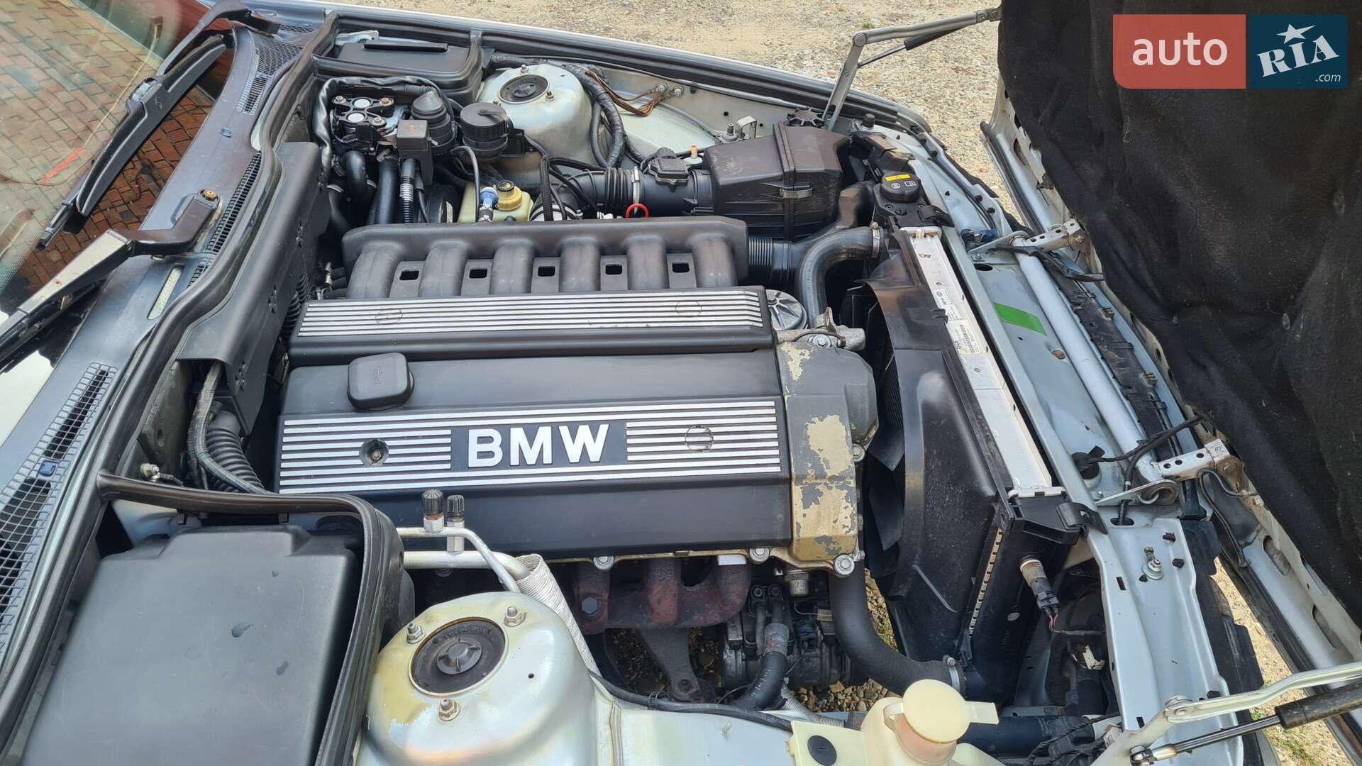 BMW 5 Series 1996 VIN WBAHG51040GK92041 фото оголошення 13 з 13