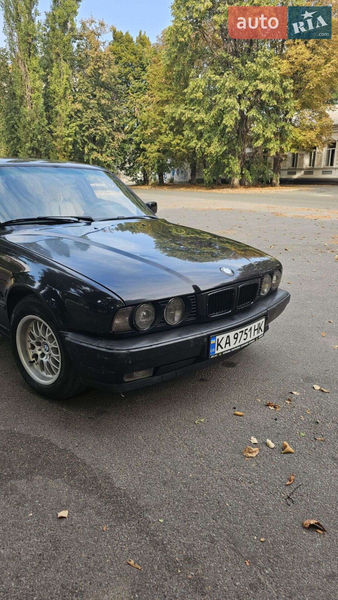 BMW 5 Series 1996 VIN WBAHJ61080GC05803 фото оголошення 63 з 67