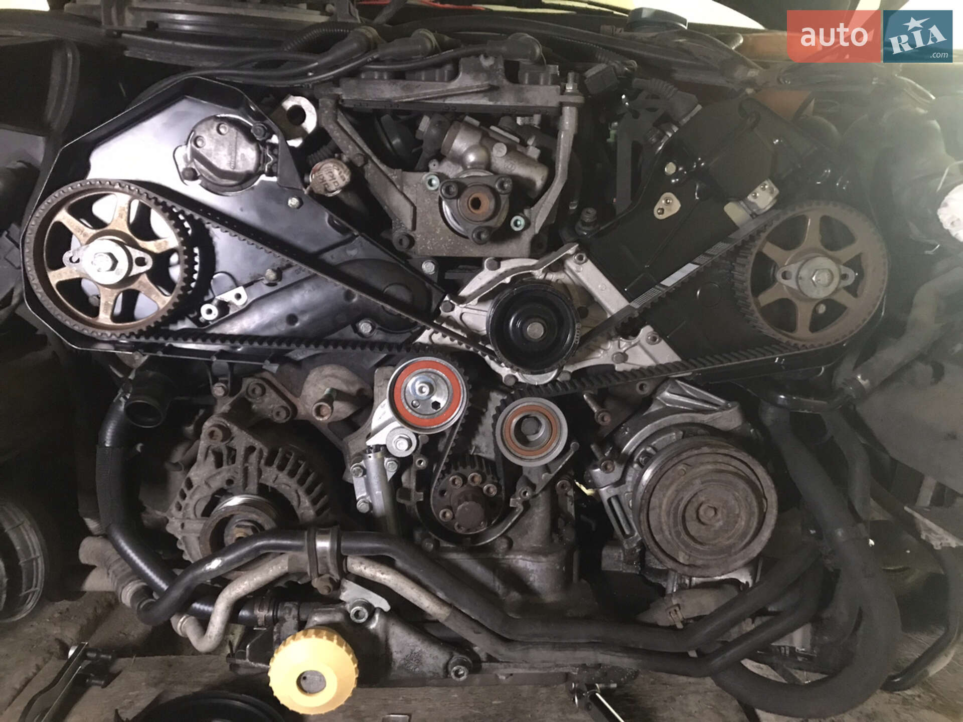 Audi A6 2001 VIN WAUZZZ4BZ1N116093 фото оголошення 68 з 72