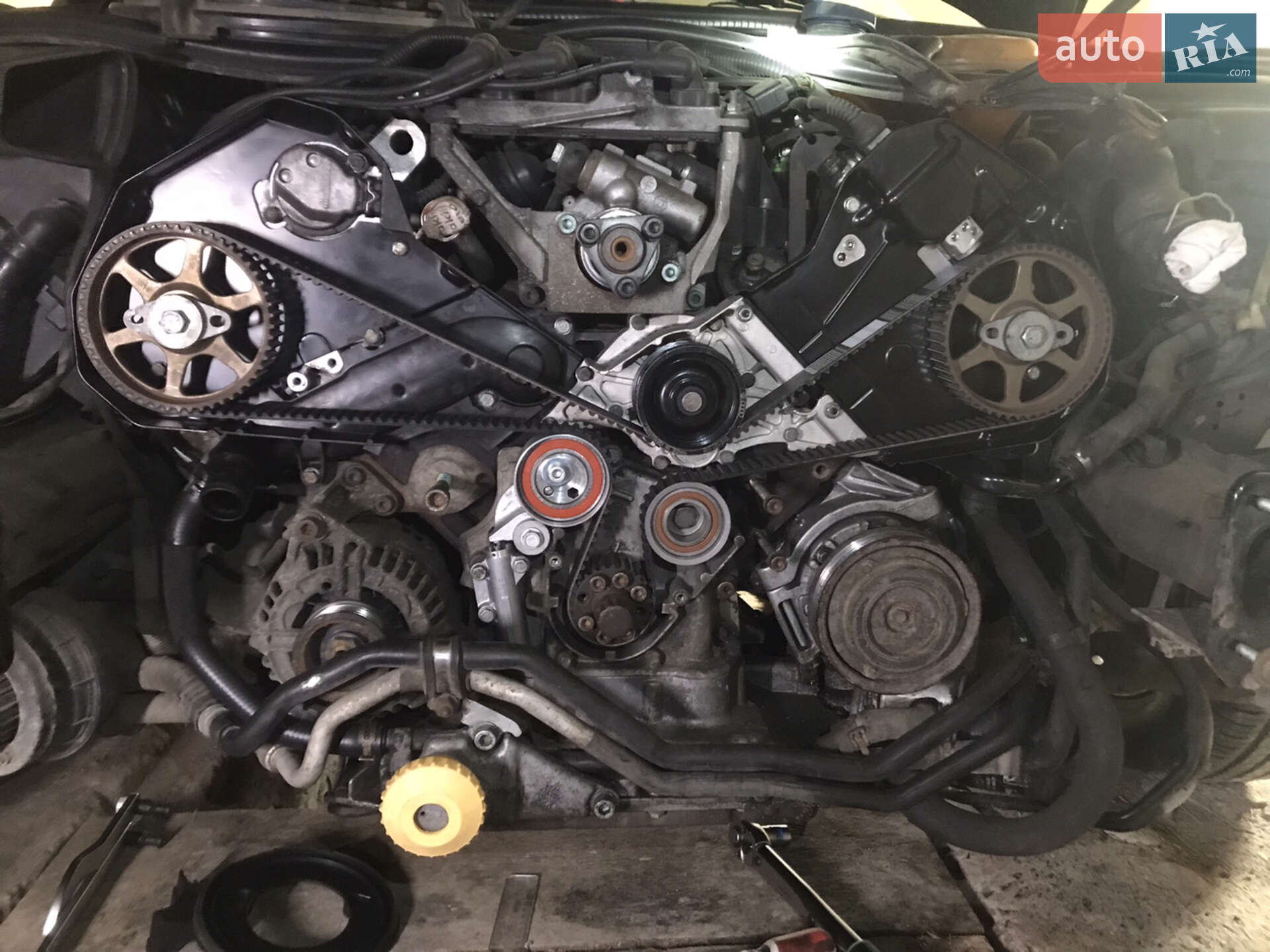 Audi A6 2001 VIN WAUZZZ4BZ1N116093 фото оголошення 69 з 72