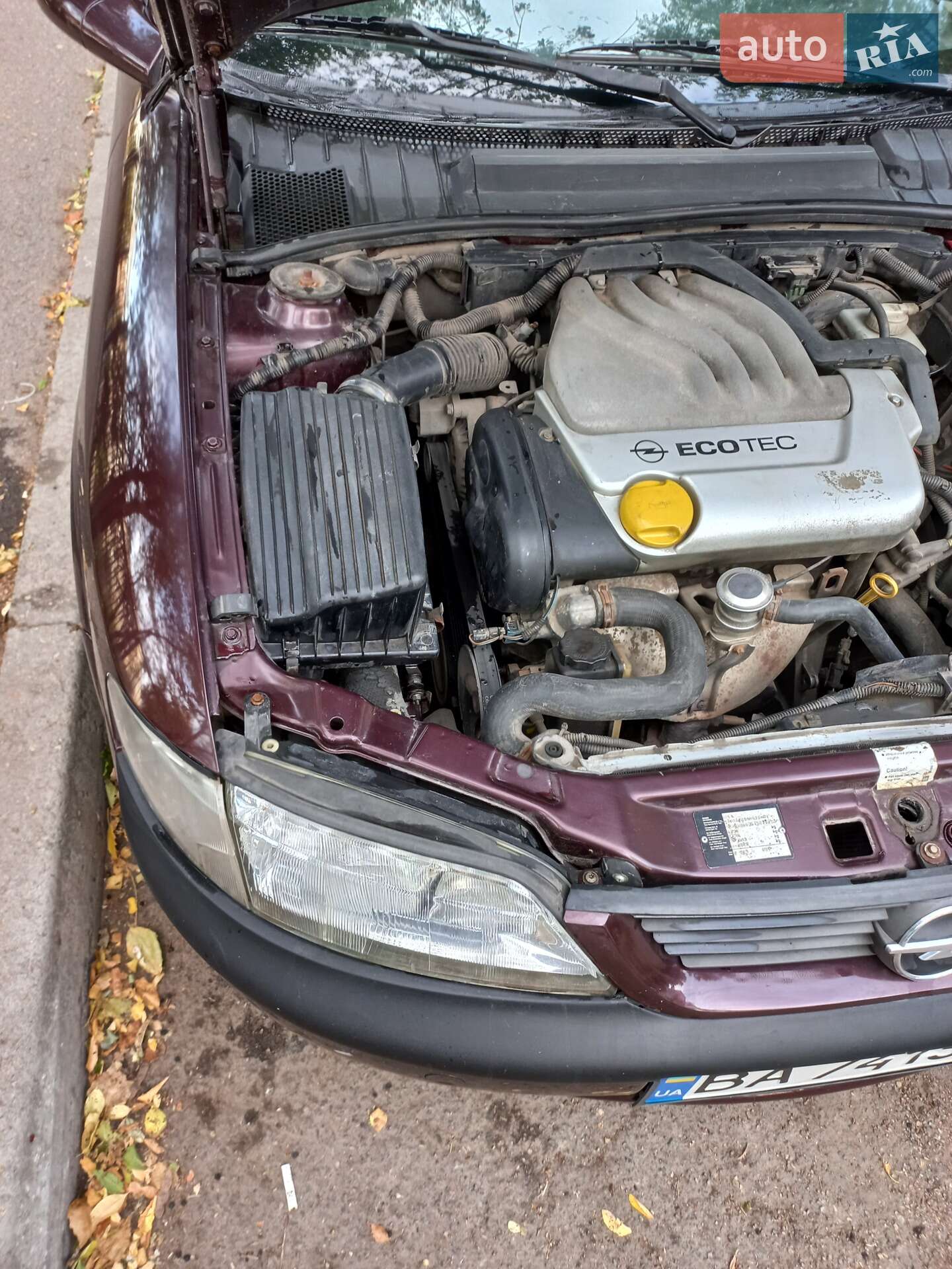 Opel Vectra 1996 VIN W0L000036T5071798 фото оголошення 21 з 23