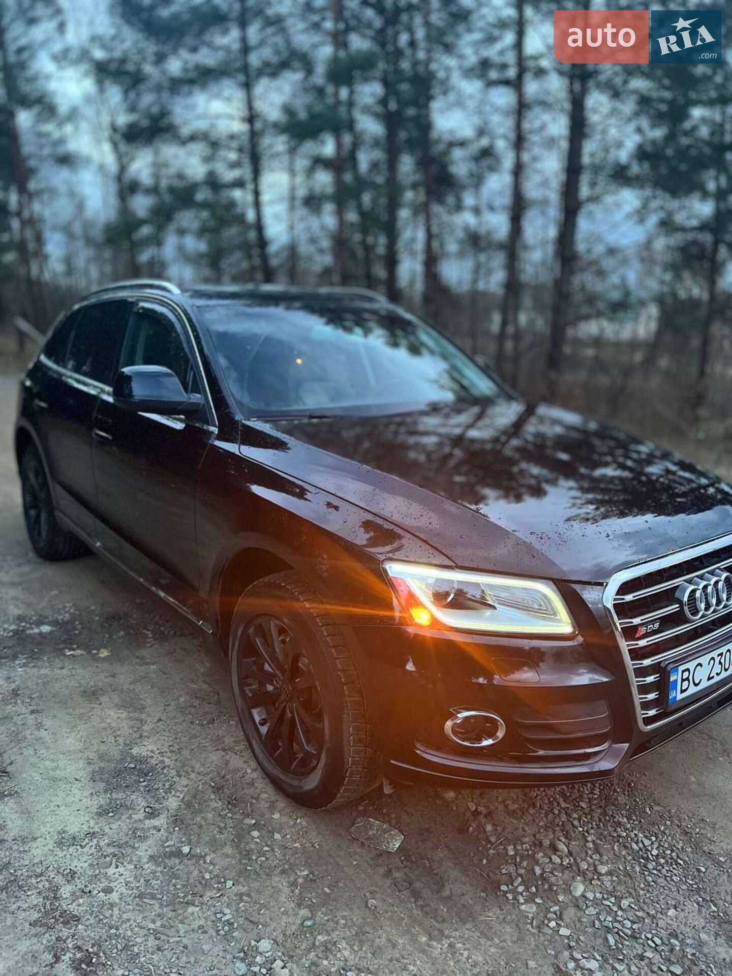 Audi Q5 2013 VIN WA1LFAFP5EA005518 фото оголошення 6 з 19