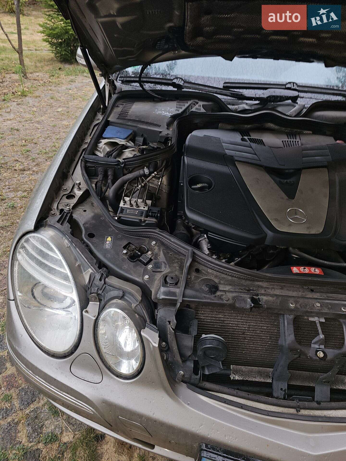 Mercedes-Benz E-Class 2007 VIN WDB2100631A443125 фото оголошення 5 з 13