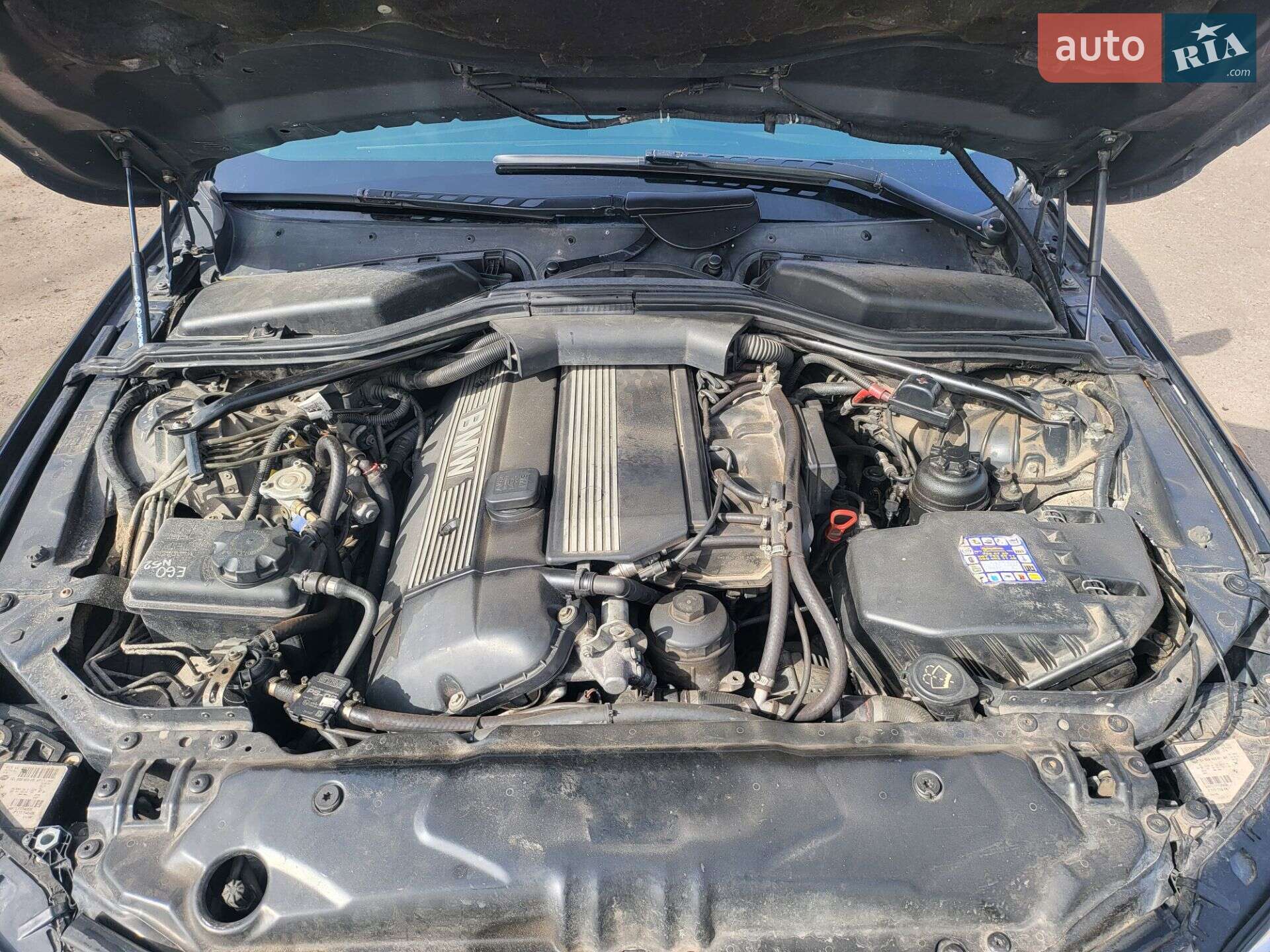 BMW 5 Series 2004 VIN WBANA31050B163781 фото оголошення 14 з 18