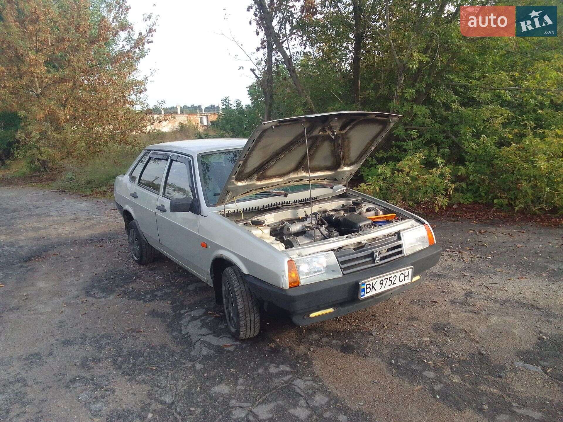 ВАЗ / Lada 21099 2006 VIN Y6D21099070039805 фото оголошення 28 з 30