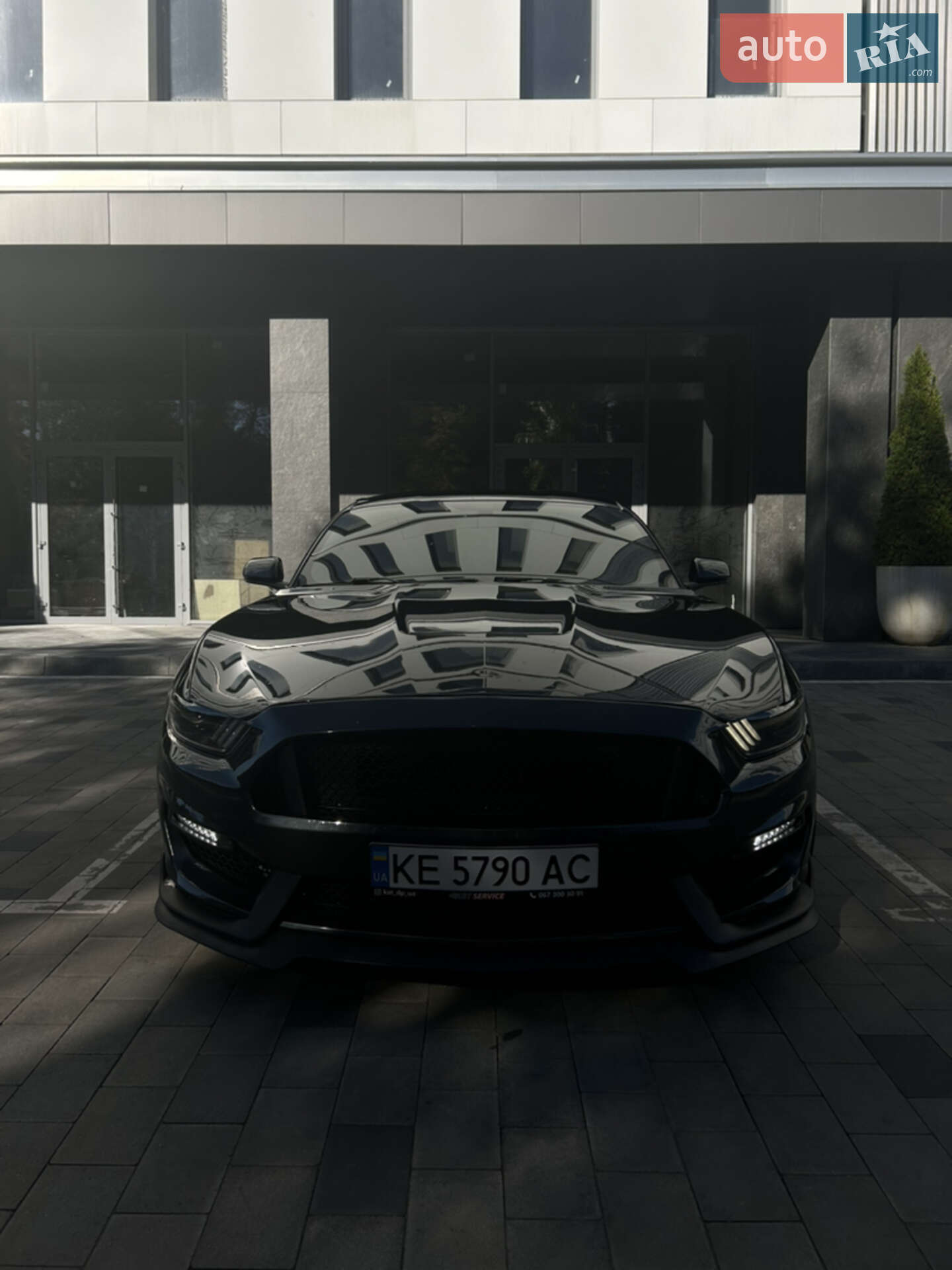 Ford Mustang 2016 VIN 1FA6P8TH5G5309715 фото оголошення 8 з 11