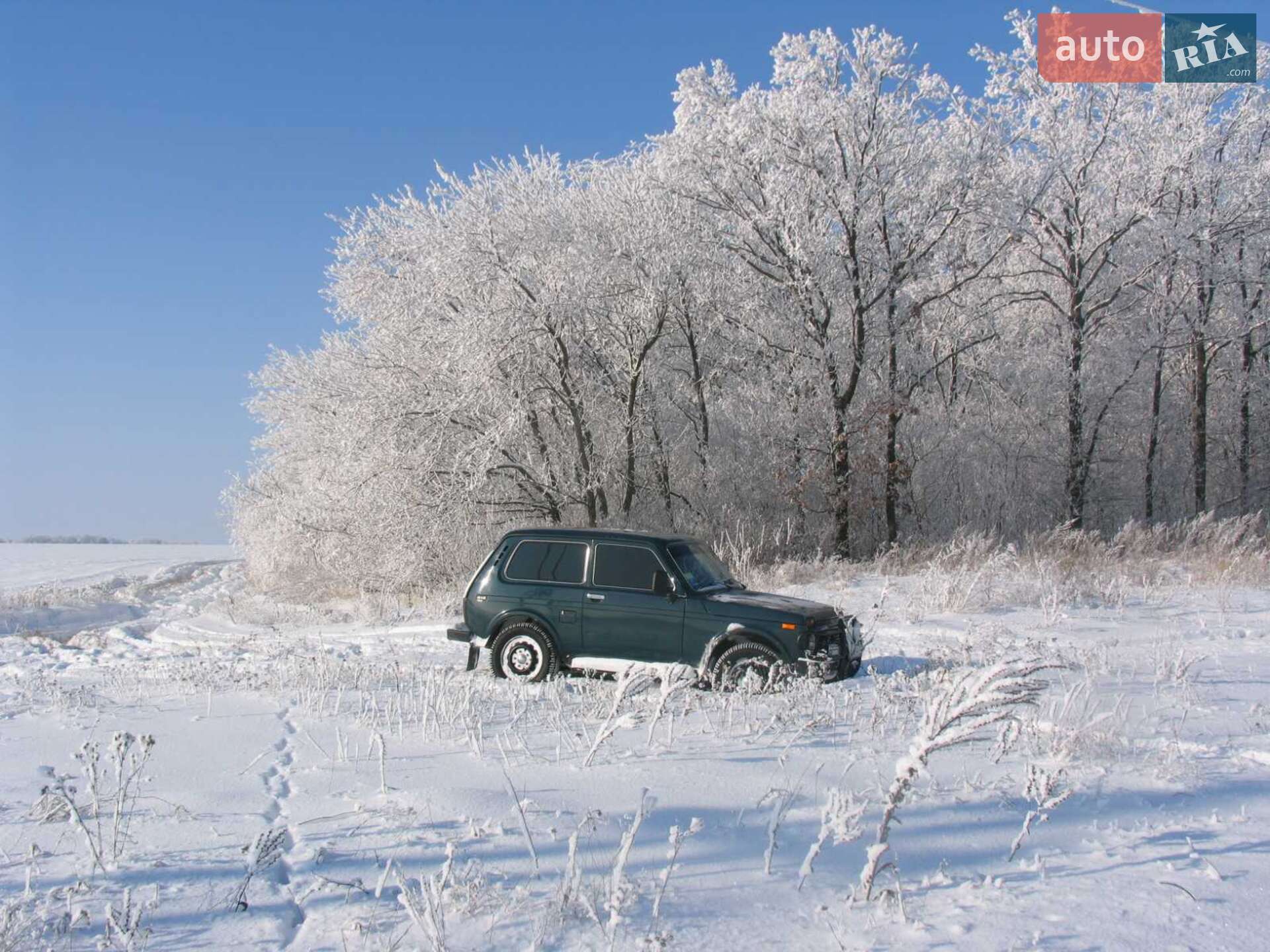 ВАЗ / Lada 21213 Niva 2003 VIN XTA21213031711564 фото оголошення 2 з 8