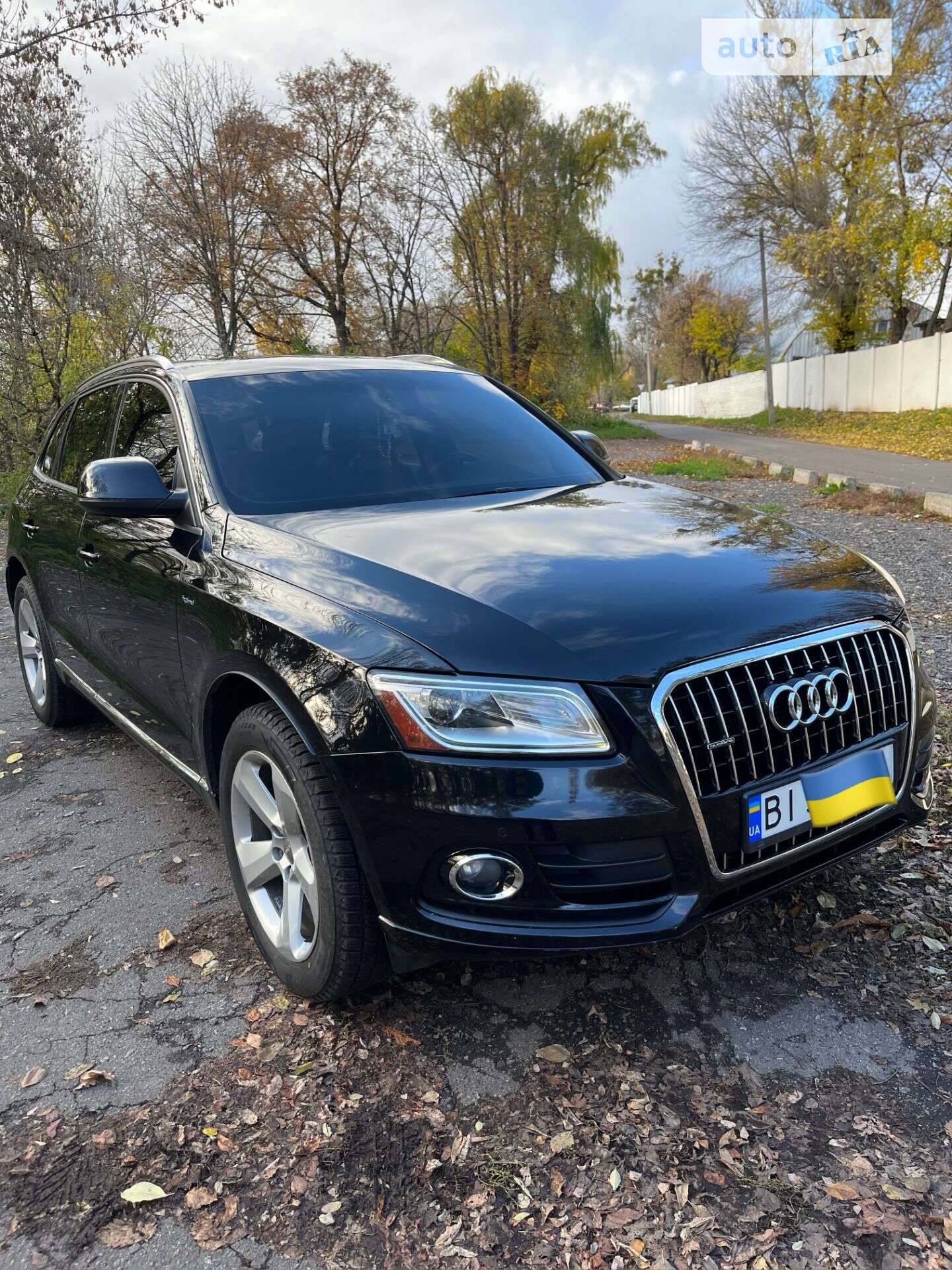 Audi Q5 2013 VIN WA1C8AFP5DA074203 фото оголошення 11 з 11