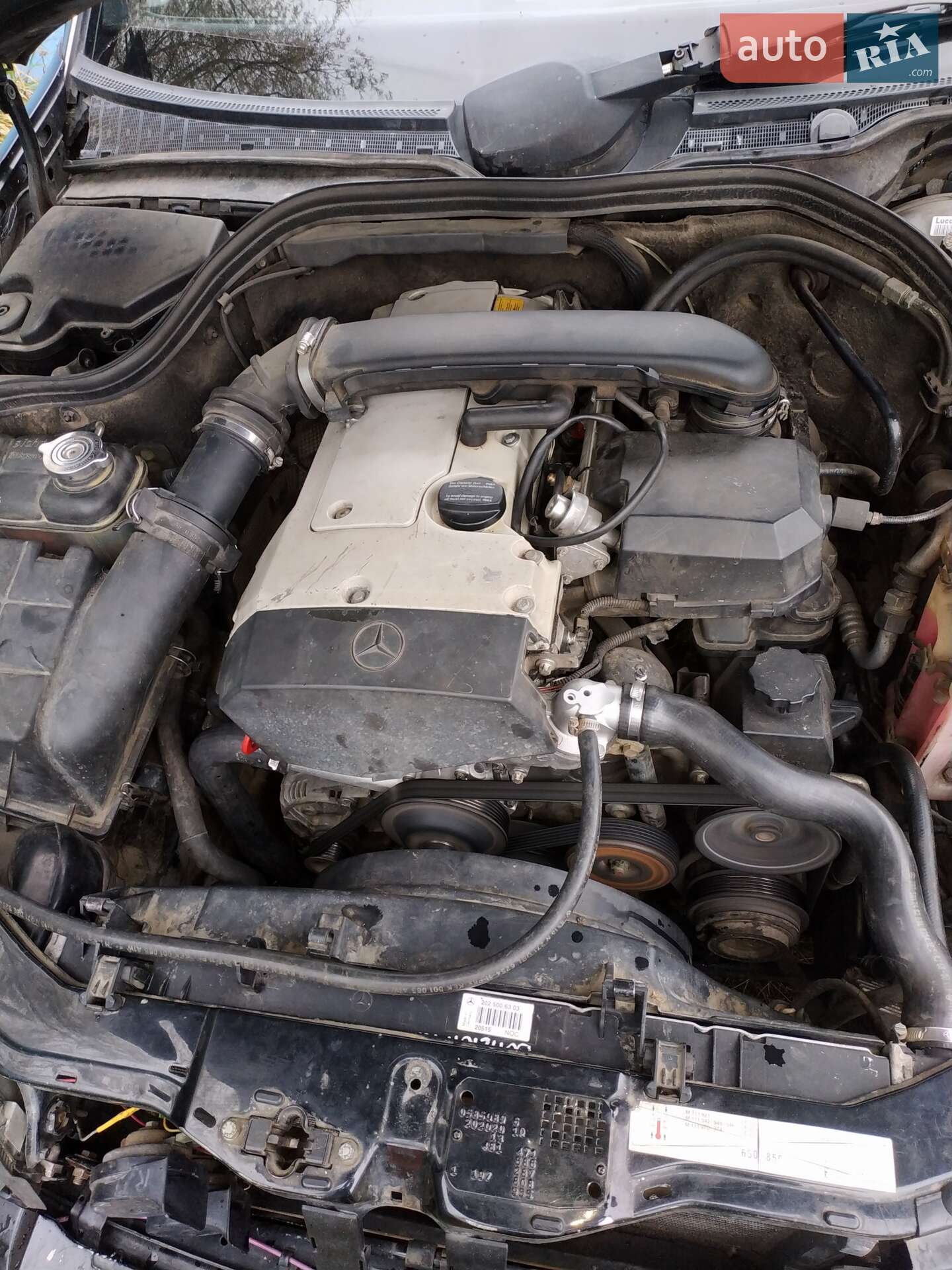 Mercedes-Benz C-Class 1997 VIN WDB2020201F638373 фото оголошення 19 з 21