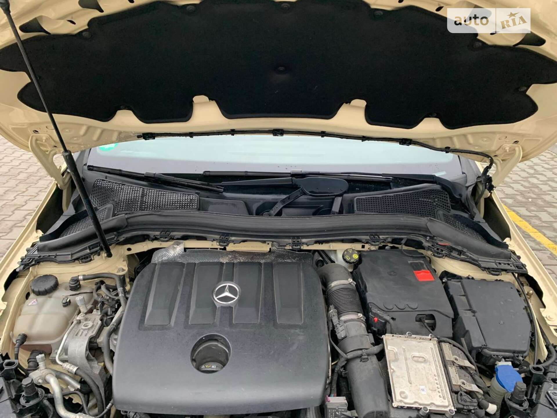 Mercedes-Benz B-Class 2019 VIN WDD2470031J083595 фото оголошення 19 з 25