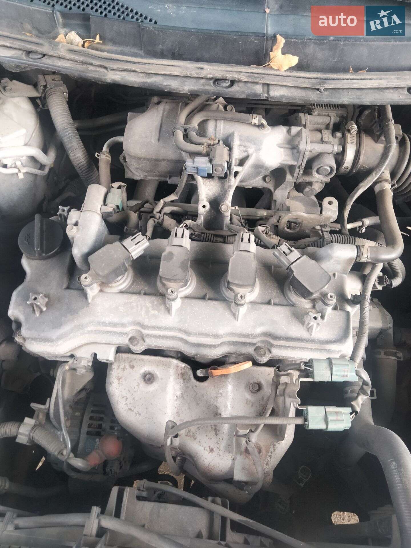 Nissan Primera 2002 VIN SJNBBAP12U0025725 фото оголошення 4 з 4