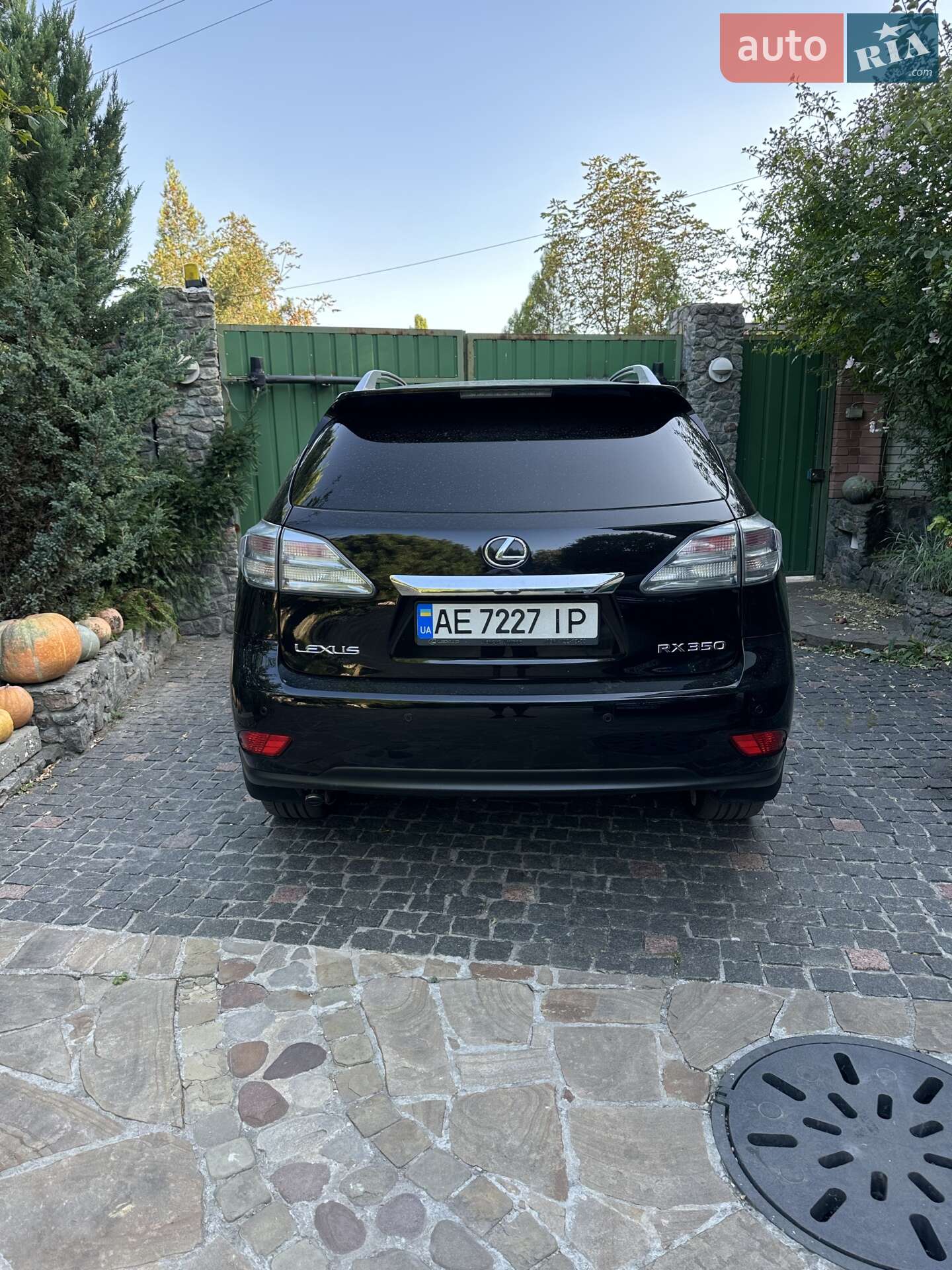 Lexus RX 2010 VIN JTJBK11A402007759 фото оголошення 4 з 8