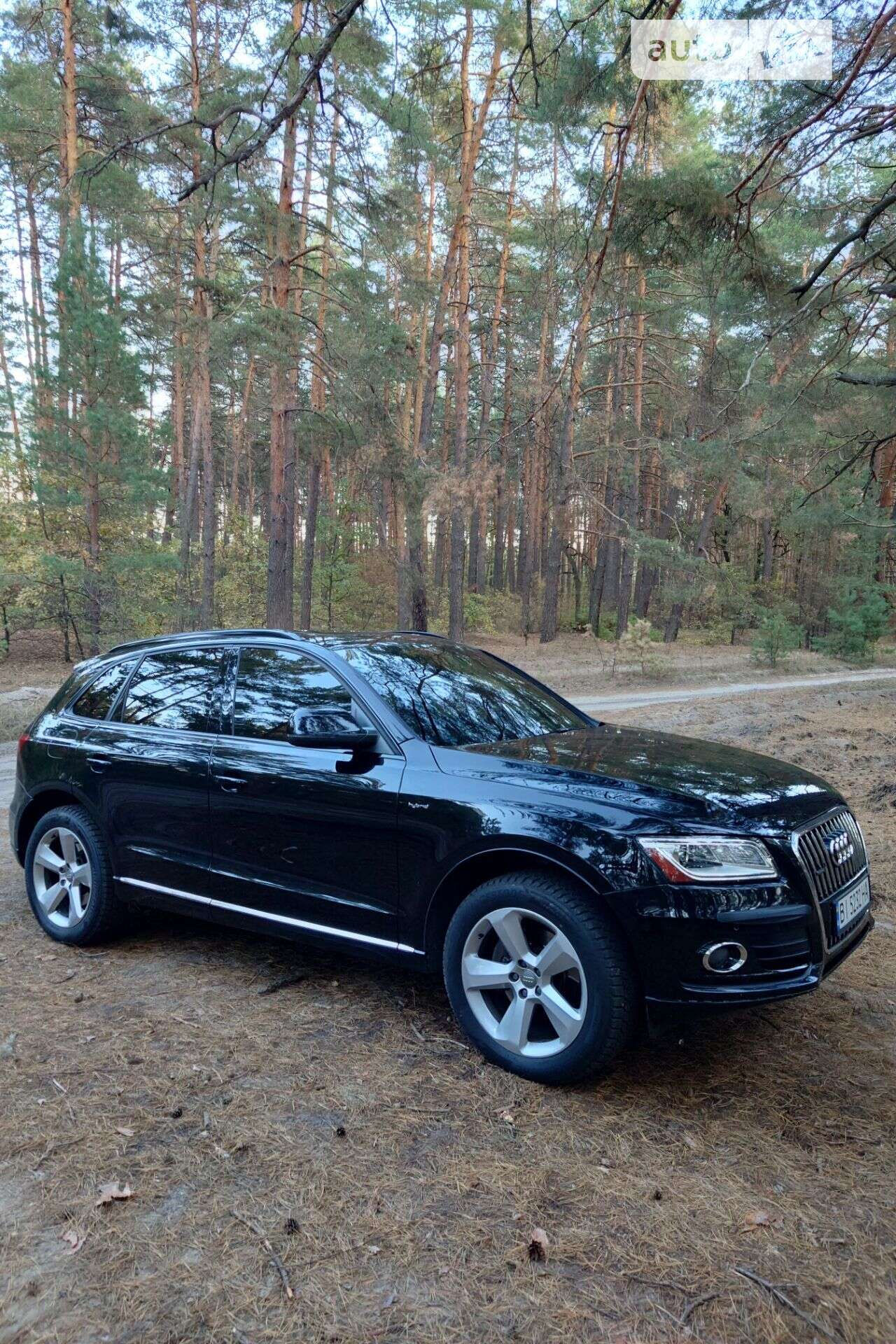Audi Q5 2013 VIN WA1C8AFP5DA074203 фото оголошення 5 з 5
