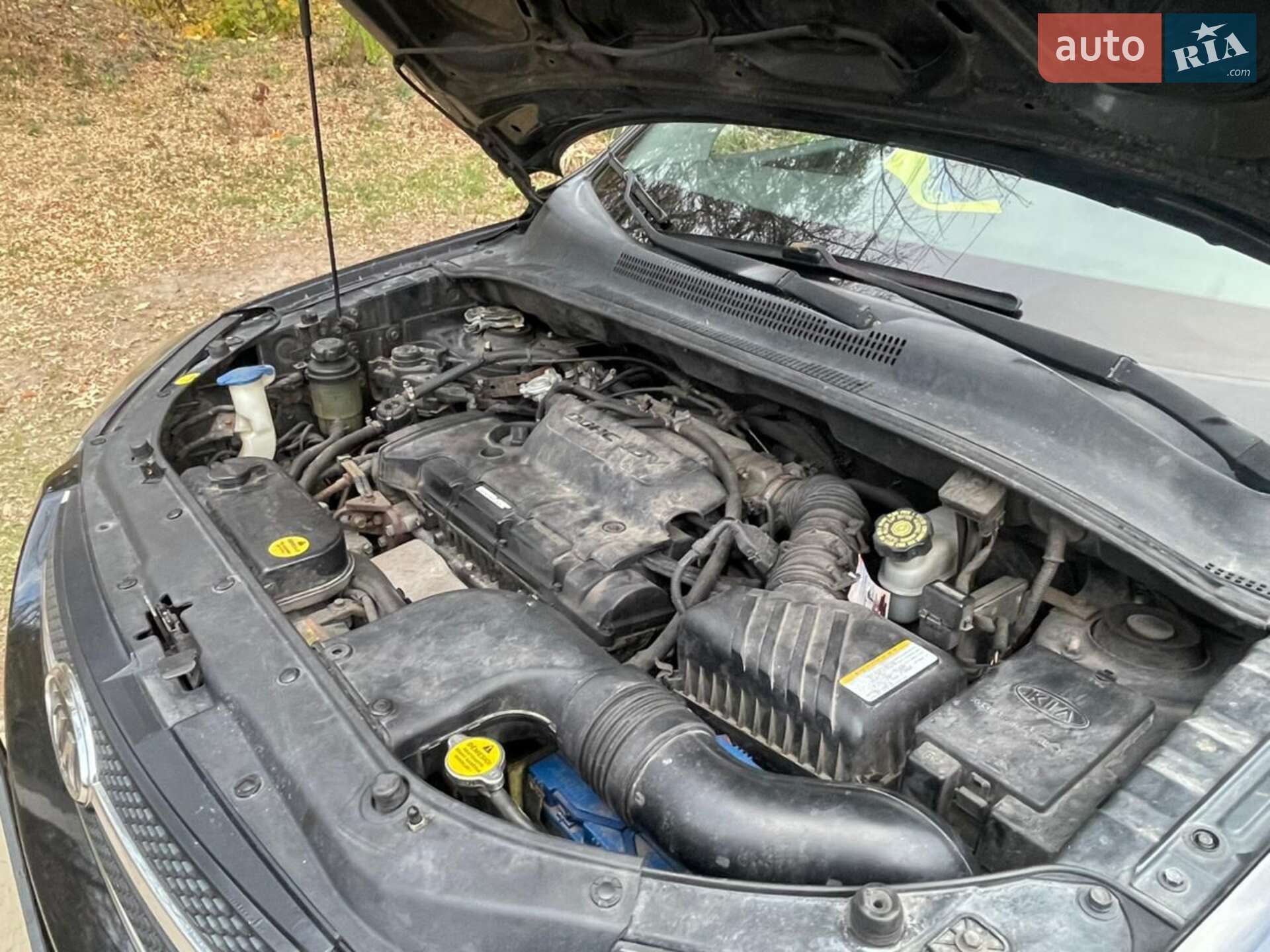 Kia Sportage 2008 VIN U6YJE55228L031576 фото оголошення 20 з 21
