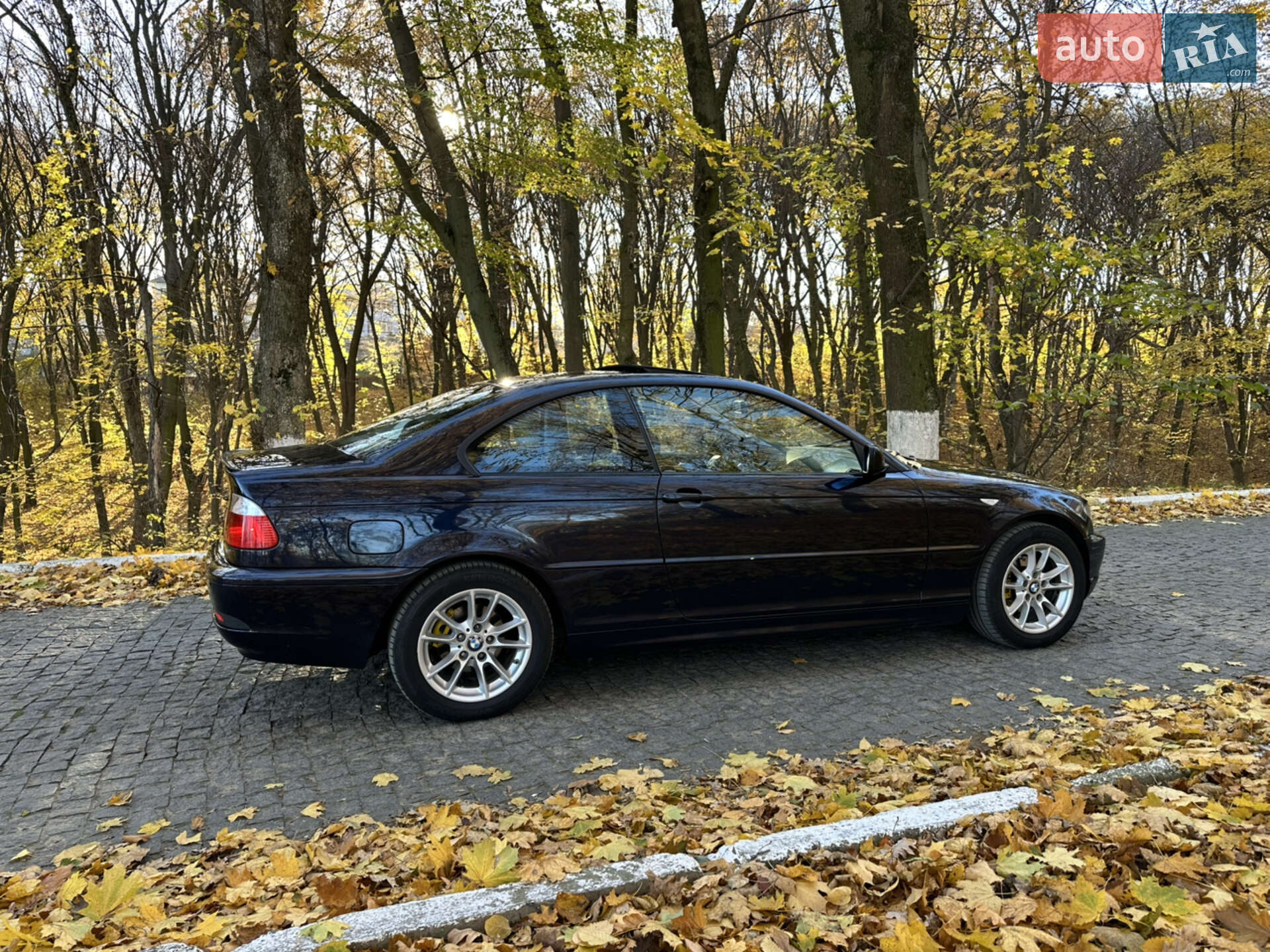 BMW 3 Series 2004 VIN WBABX91080PN76625 фото оголошення 9 з 37