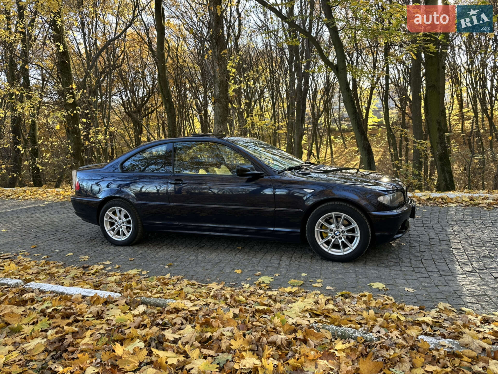 BMW 3 Series 2004 VIN WBABX91080PN76625 фото оголошення 10 з 37