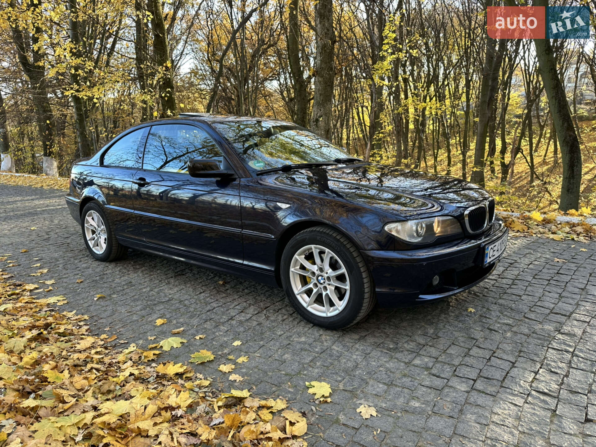 BMW 3 Series 2004 VIN WBABX91080PN76625 фото оголошення 11 з 37