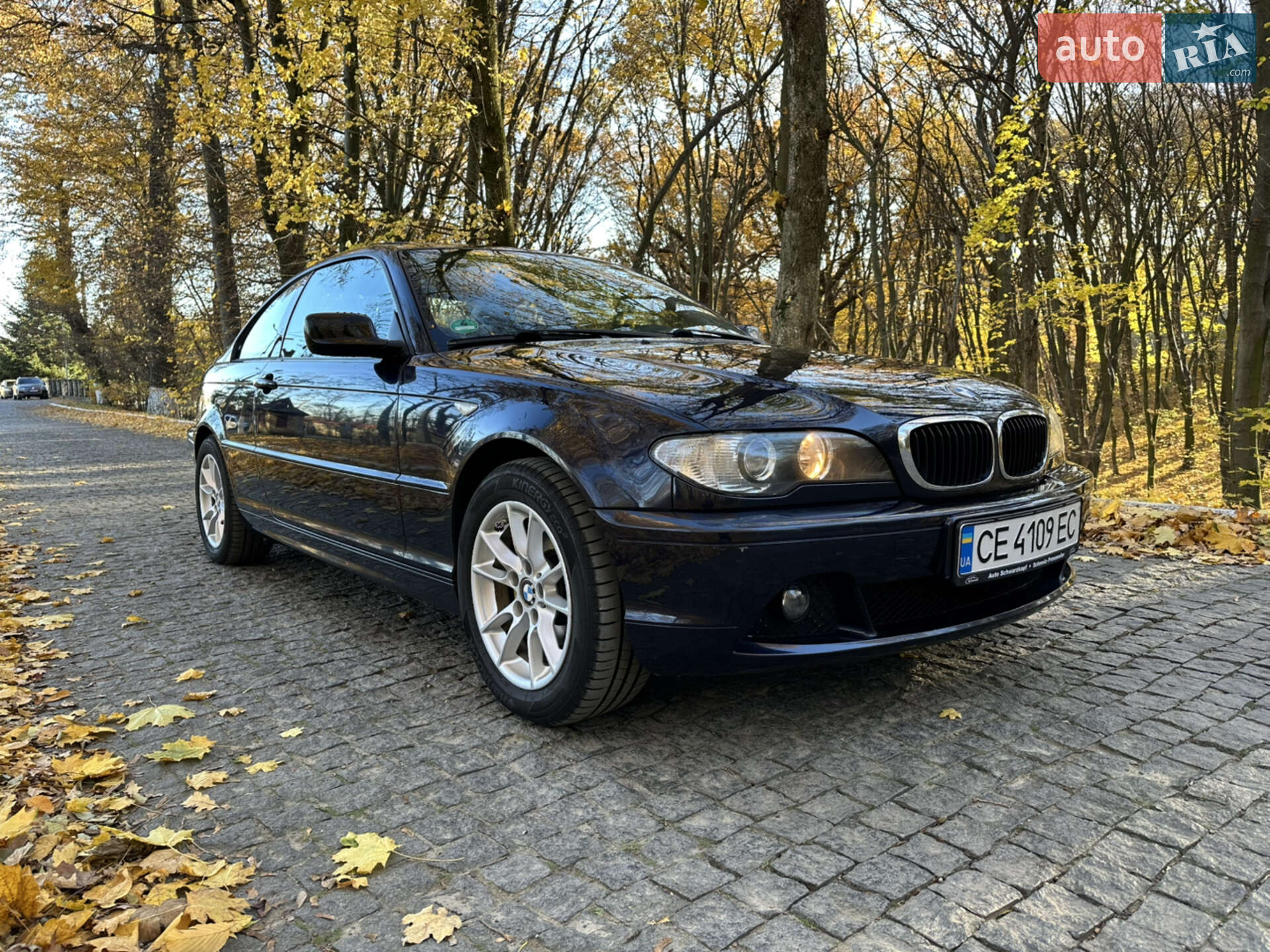 BMW 3 Series 2004 VIN WBABX91080PN76625 фото оголошення 12 з 37