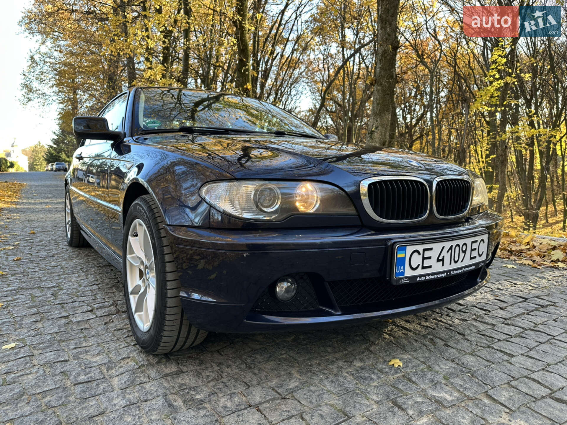 BMW 3 Series 2004 VIN WBABX91080PN76625 фото оголошення 15 з 37