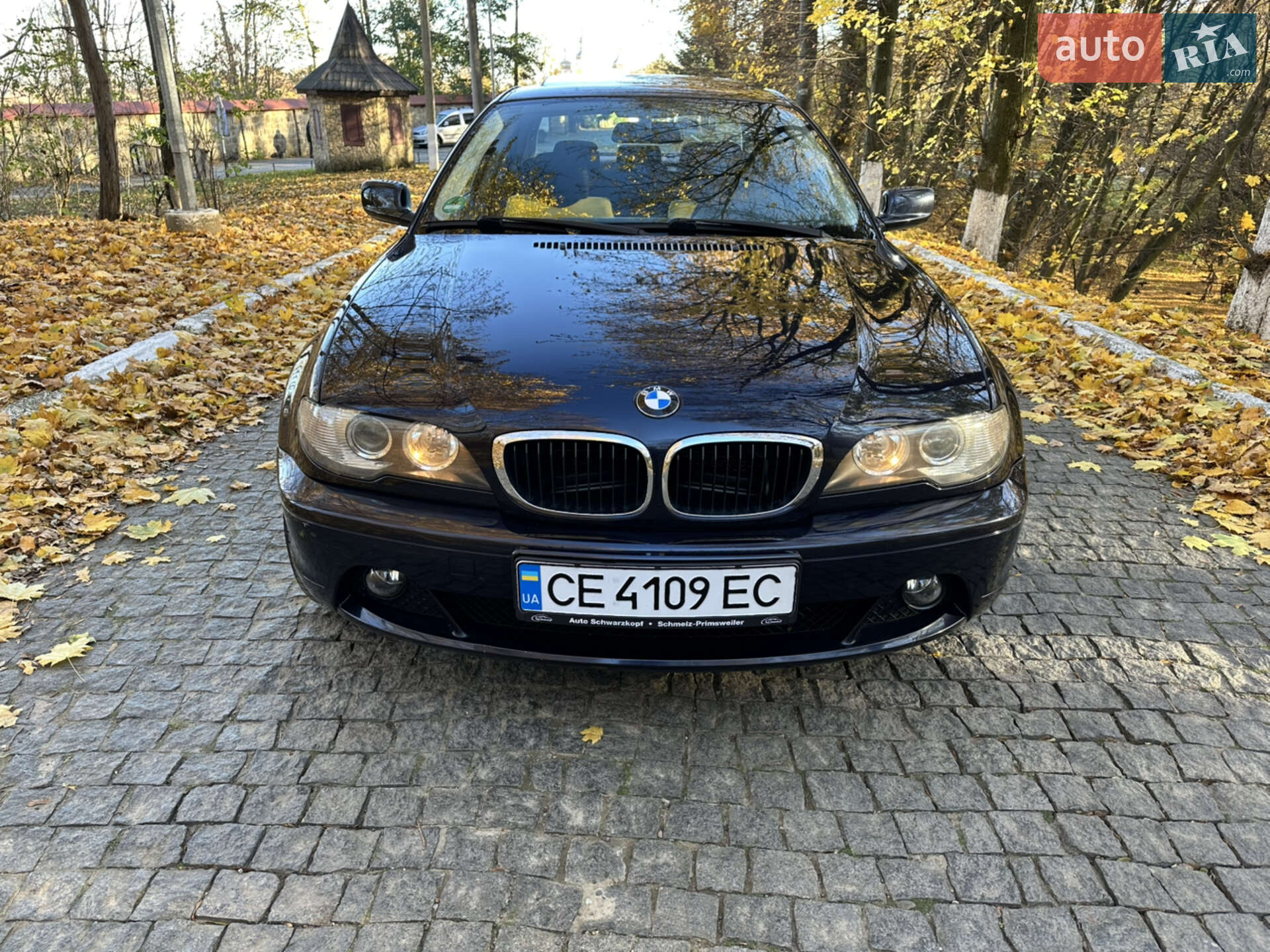BMW 3 Series 2004 VIN WBABX91080PN76625 фото оголошення 16 з 37