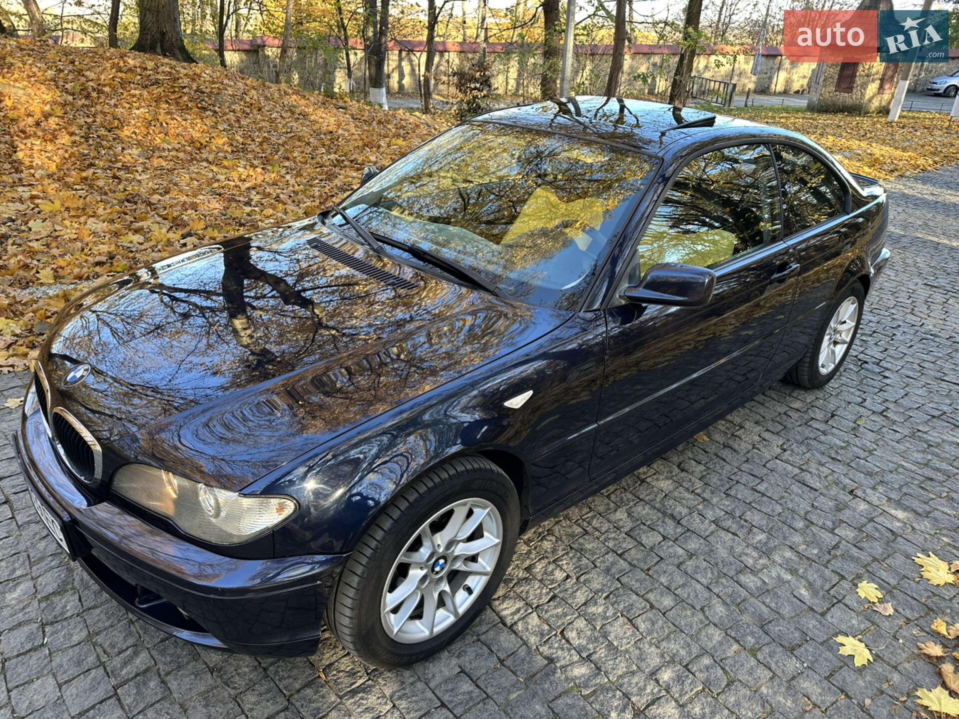 BMW 3 Series 2004 VIN WBABX91080PN76625 фото оголошення 22 з 37