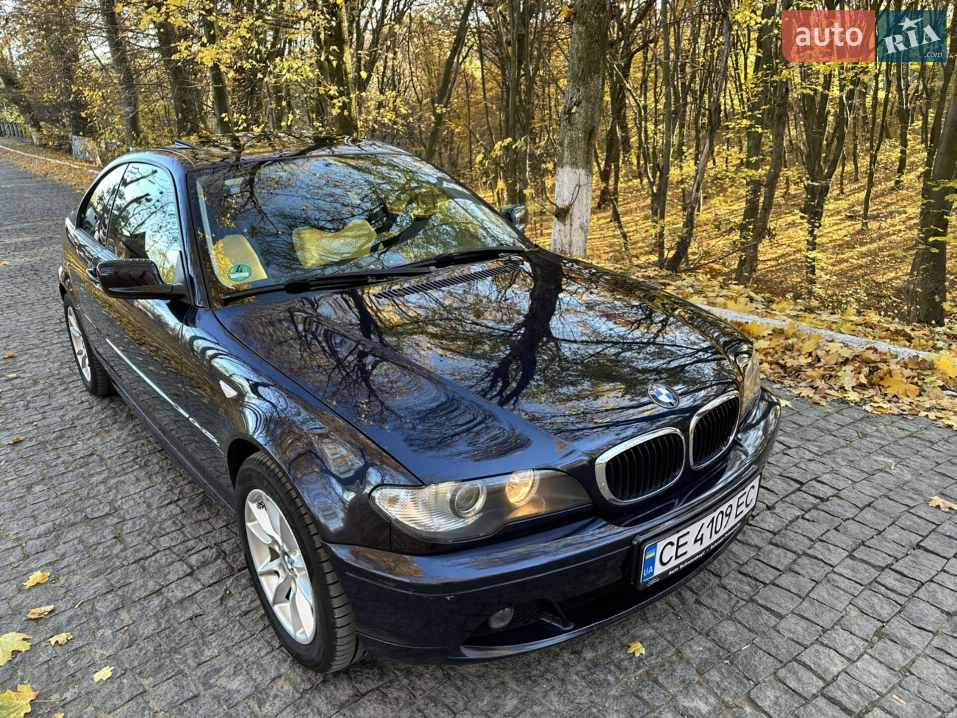 BMW 3 Series 2004 VIN WBABX91080PN76625 фото оголошення 30 з 37