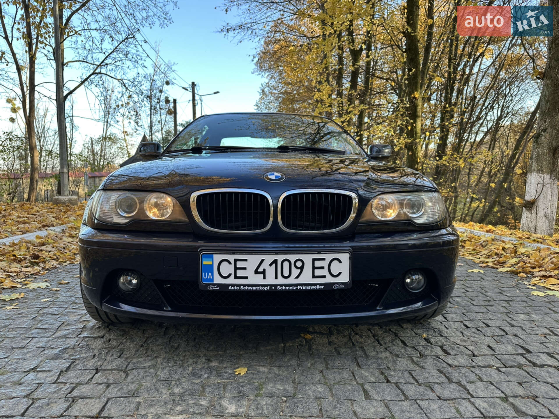 BMW 3 Series 2004 VIN WBABX91080PN76625 фото оголошення 32 з 37
