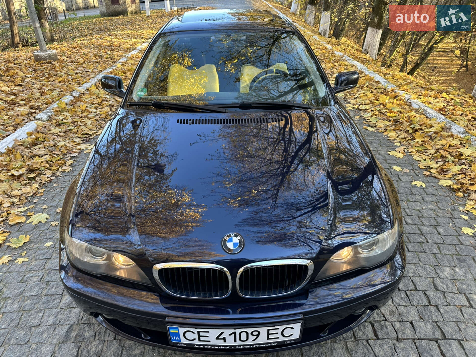 BMW 3 Series 2004 VIN WBABX91080PN76625 фото оголошення 33 з 37