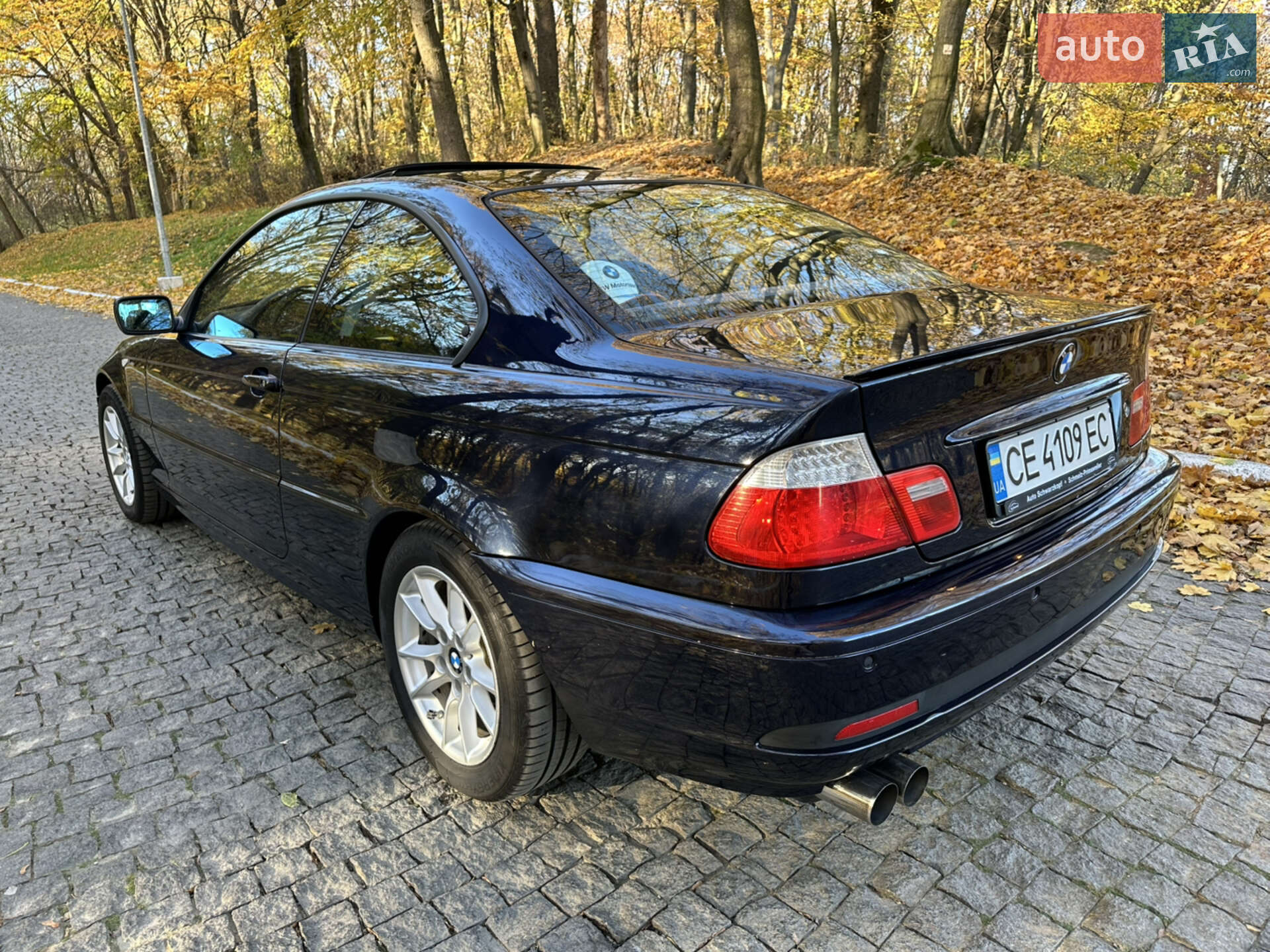 BMW 3 Series 2004 VIN WBABX91080PN76625 фото оголошення 34 з 37